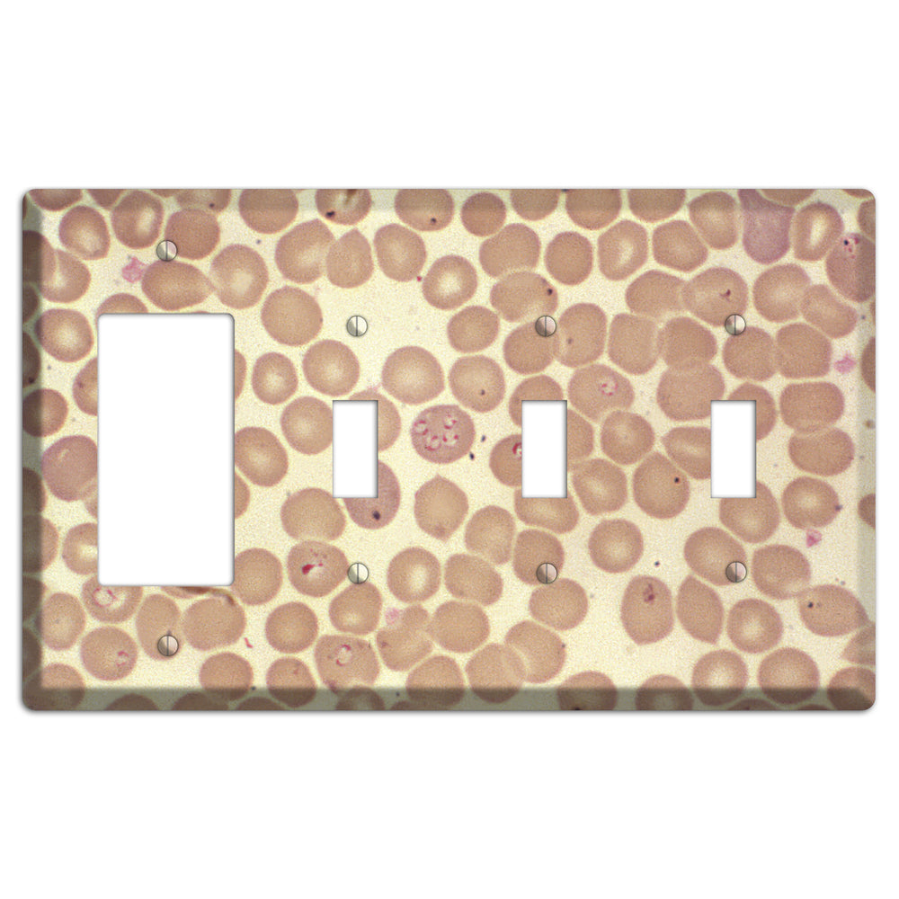 Babiesa Rocker / 3 Toggle Wallplate