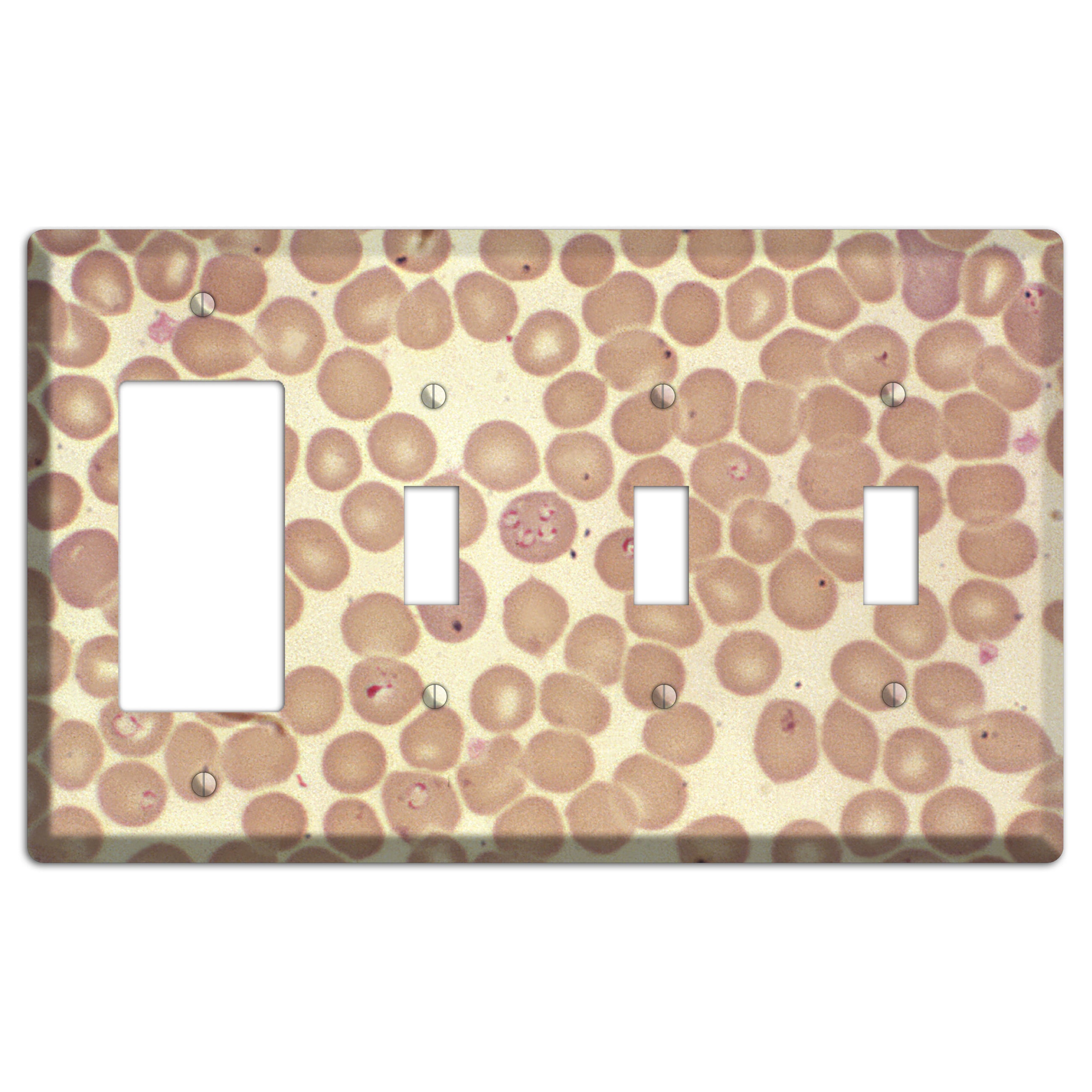 Babiesa Rocker / 3 Toggle Wallplate