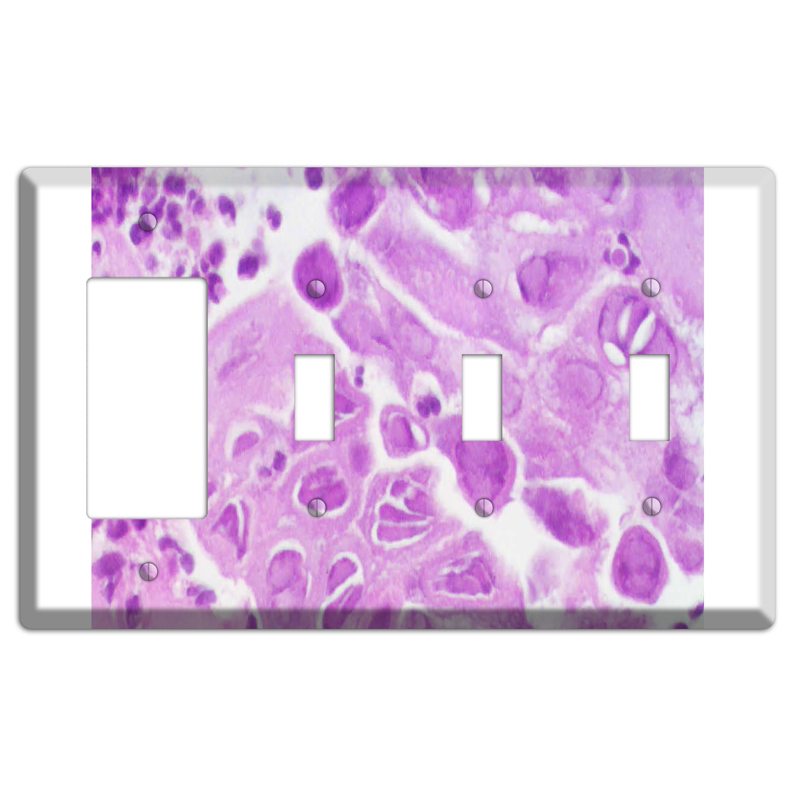 Esophagus Herpes Rocker / 3 Toggle Wallplate