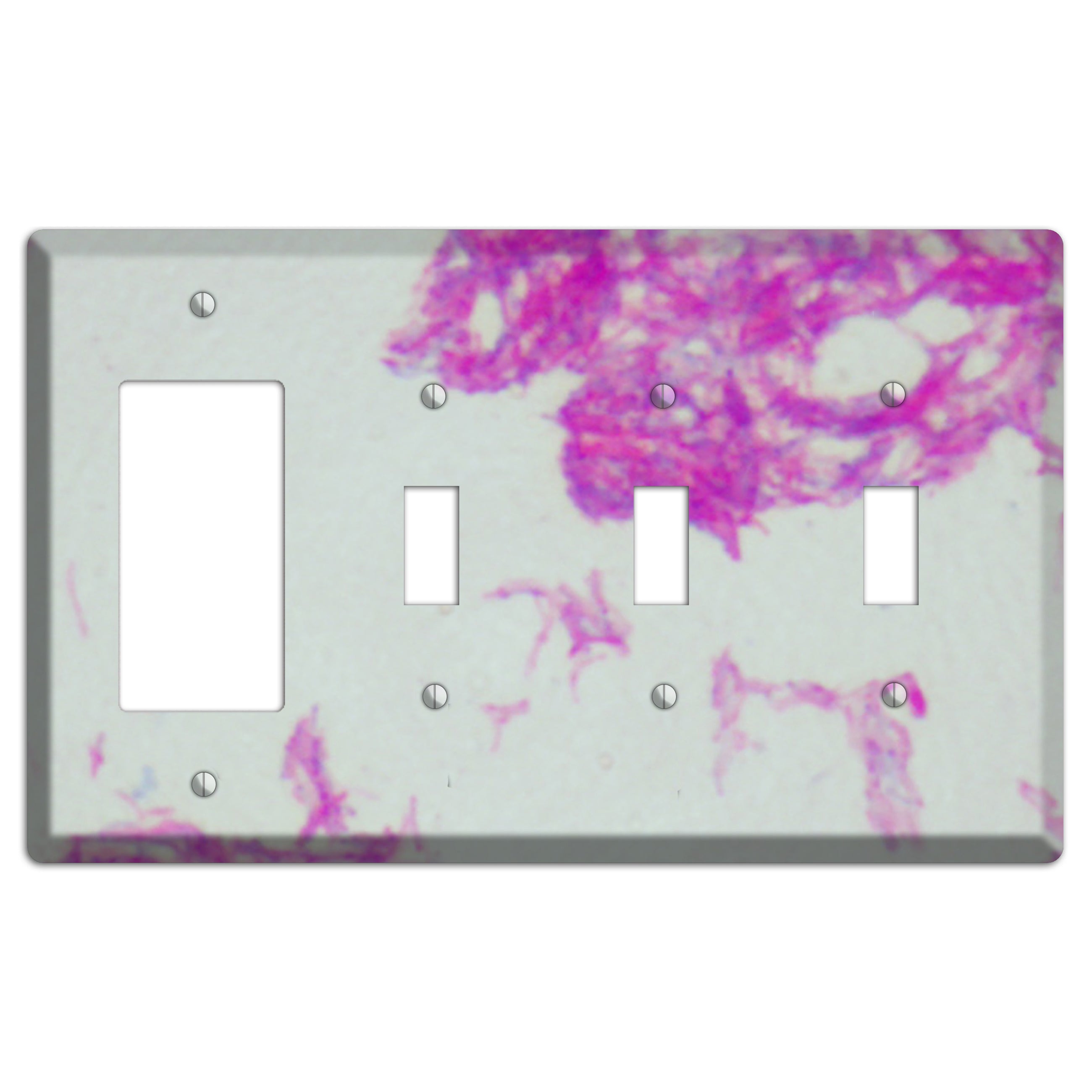 Mycobacterium Bovis Rocker / 3 Toggle Wallplate