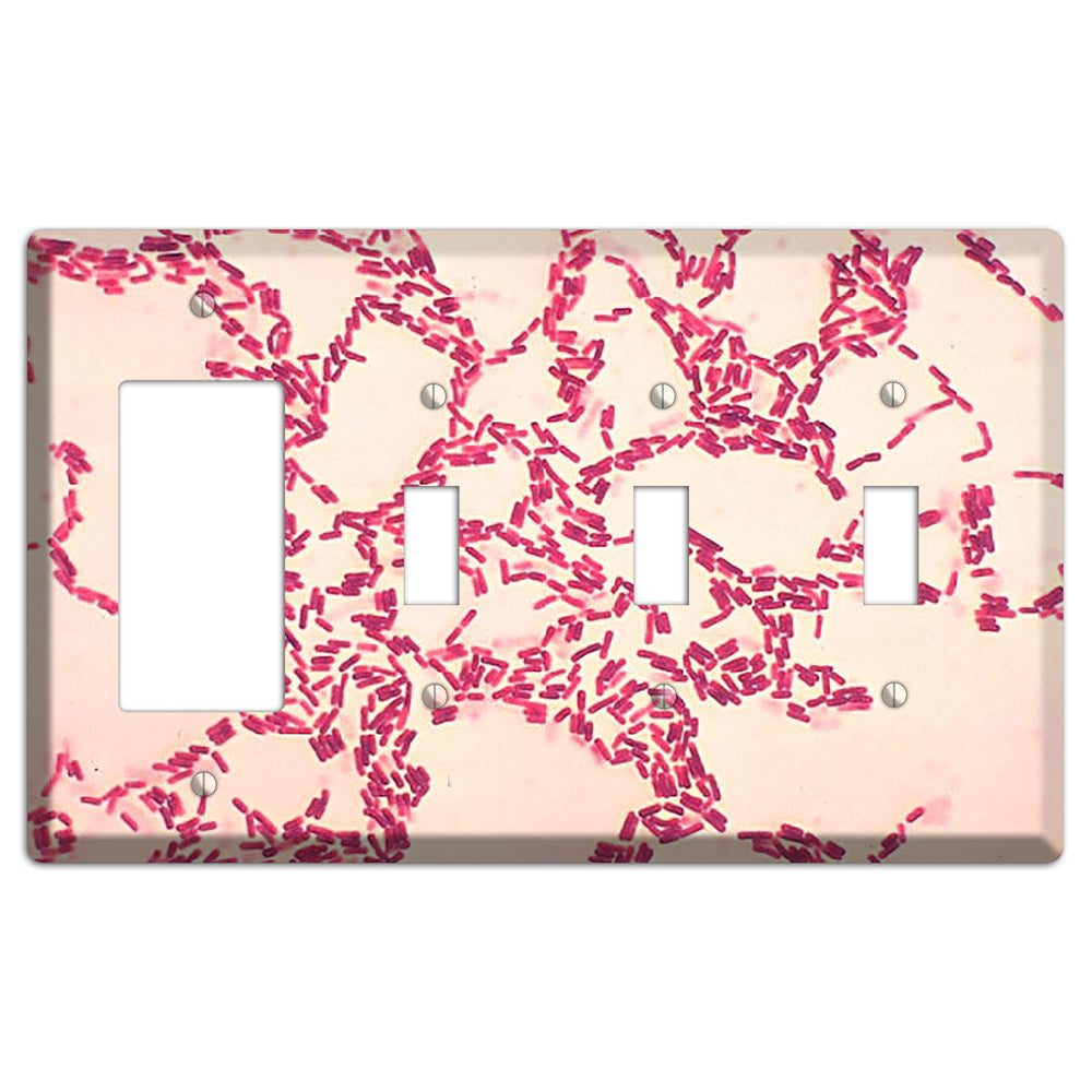 Bacillus Coagulans Rocker / 3 Toggle Wallplate