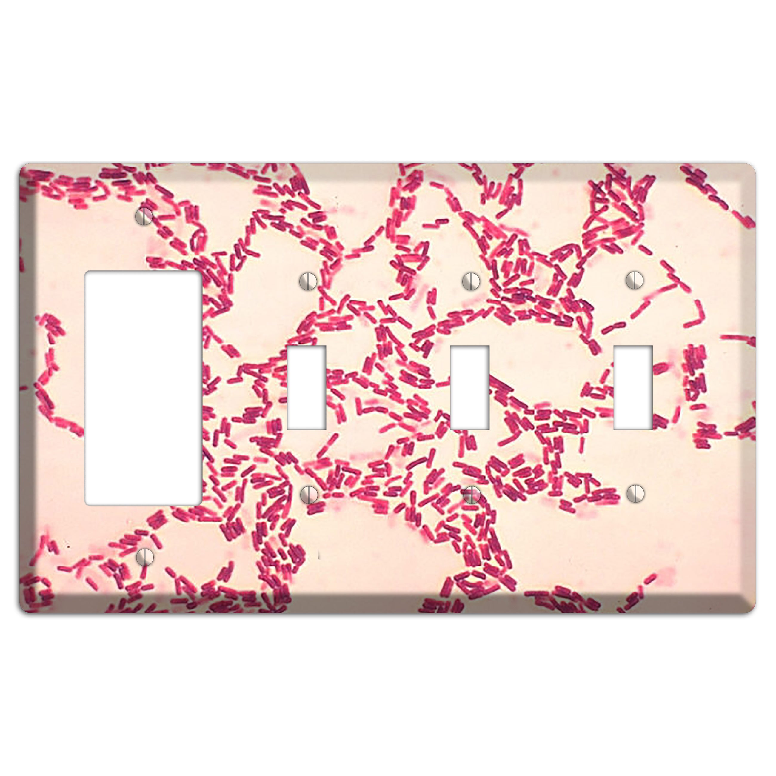 Bacillus Coagulans Rocker / 3 Toggle Wallplate