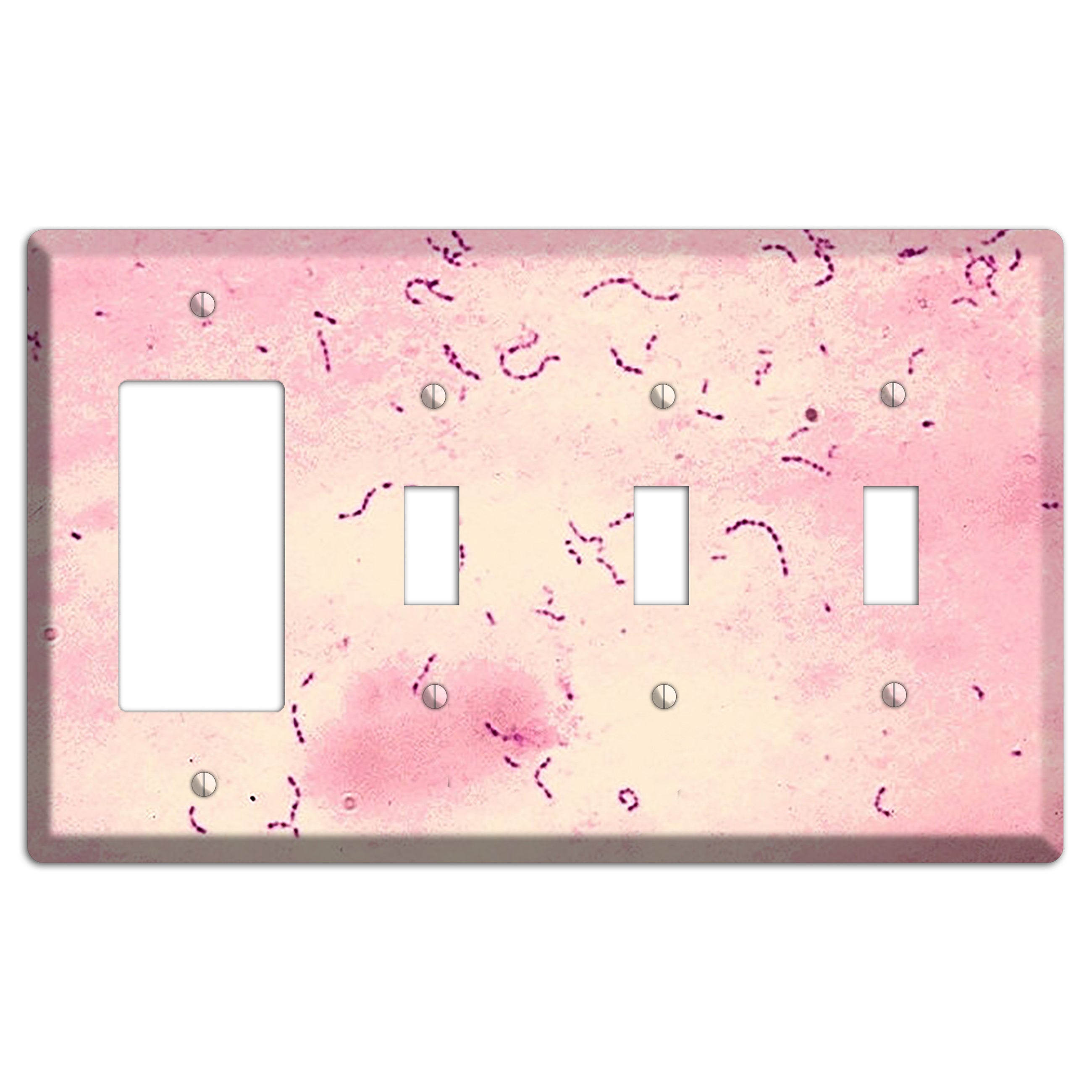 Streptococcus Mutans Rocker / 3 Toggle Wallplate