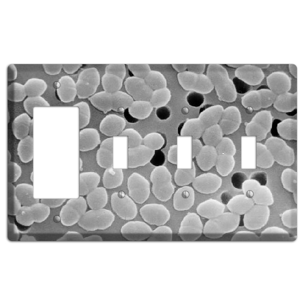 Entercoccus Rocker / 3 Toggle Wallplate