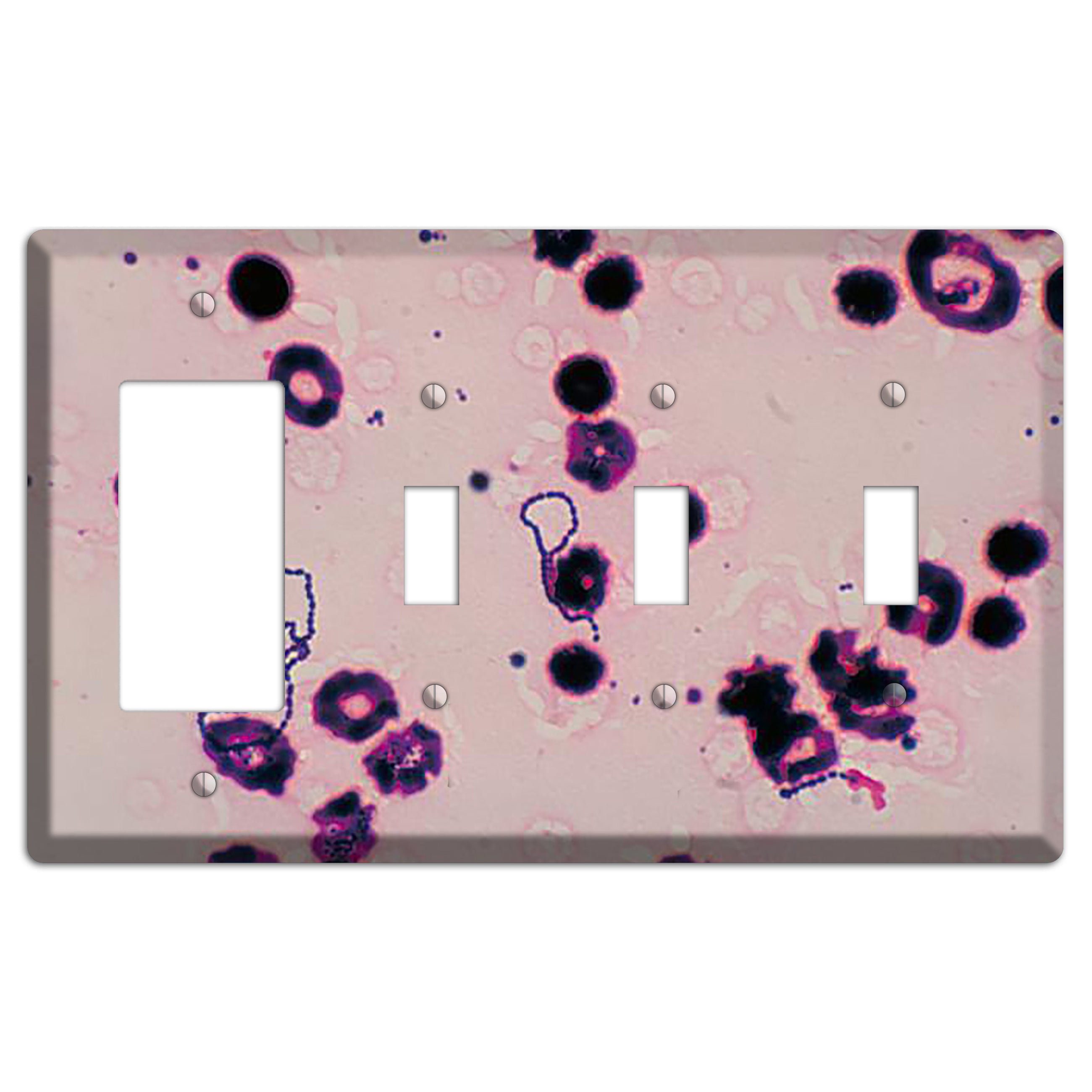 Streptococcus Viridans Rocker / 3 Toggle Wallplate