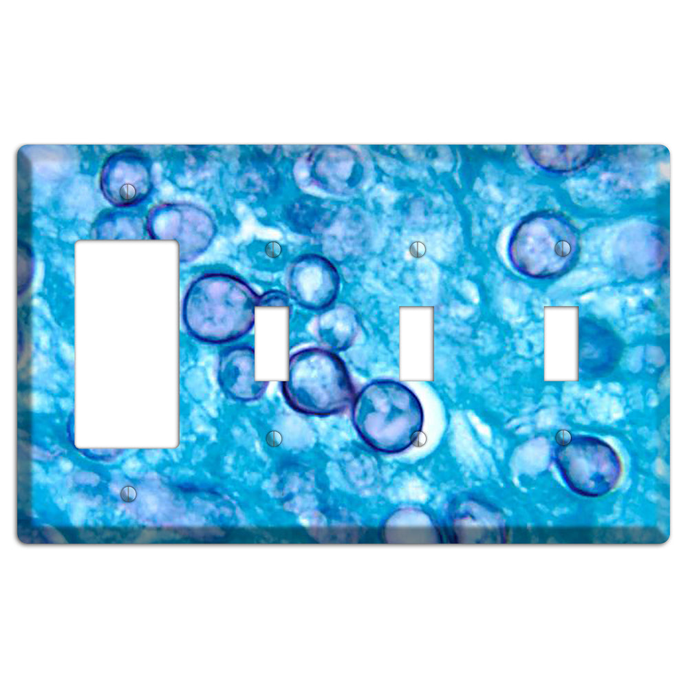 Histoplasma Capsulatum Duboisii Rocker / 3 Toggle Wallplate