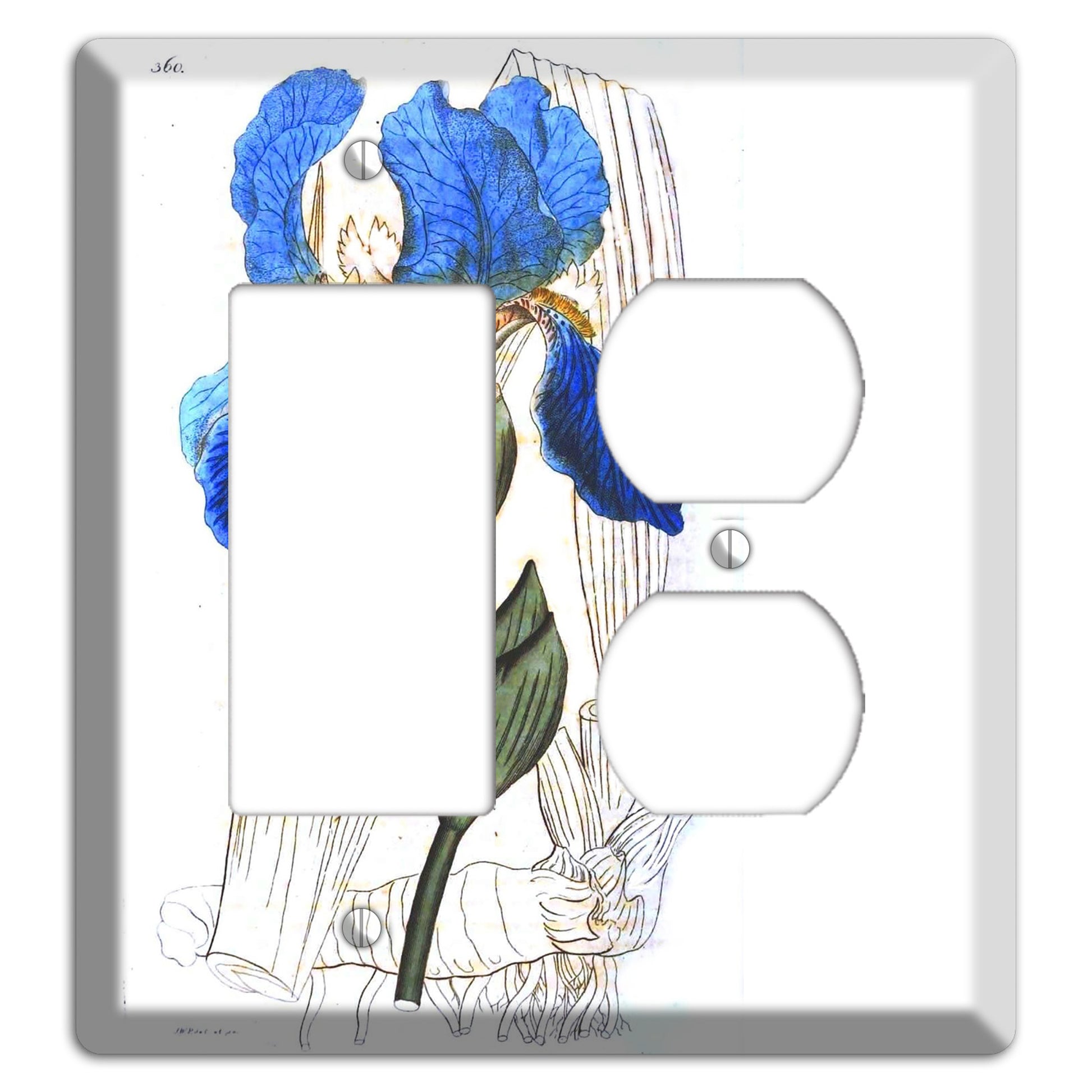 Blue Iris Rocker / Duplex Wallplate