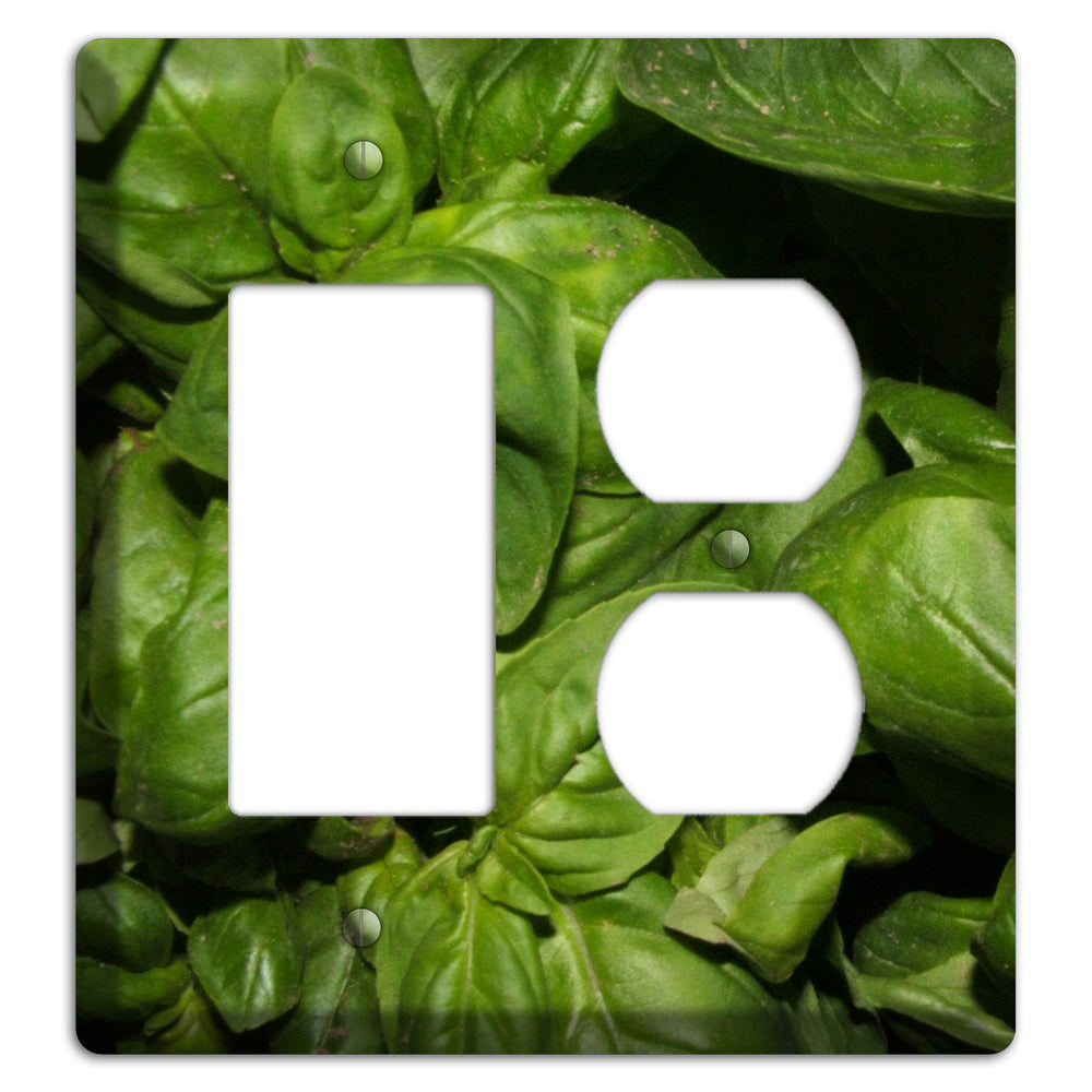 Basil Rocker / Duplex Wallplate