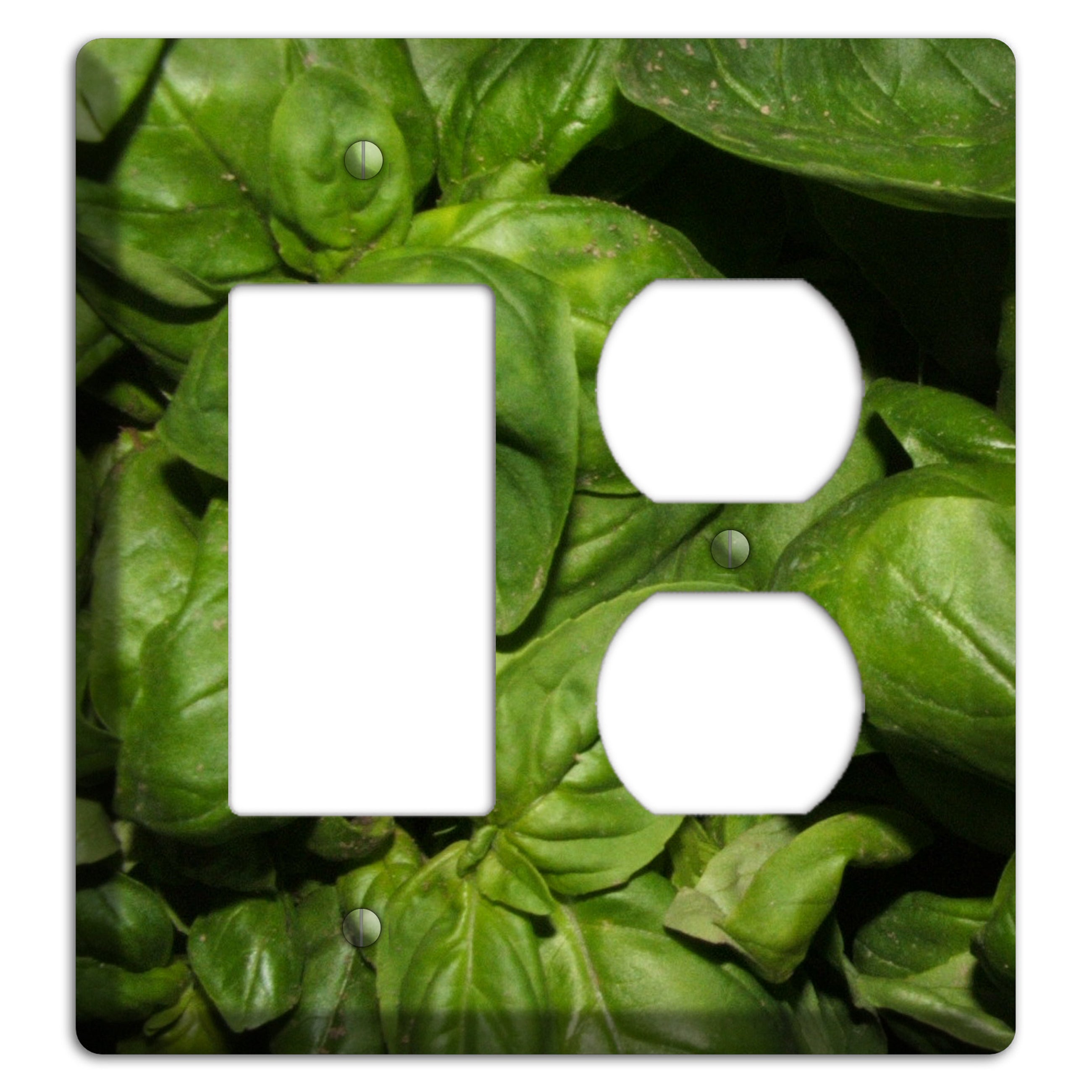 Basil Rocker / Duplex Wallplate