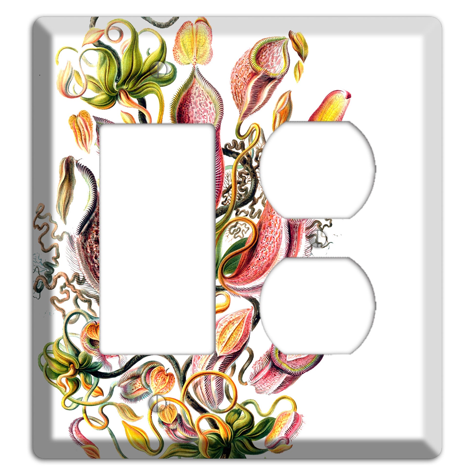 Haechel Rocker / Duplex Wallplate