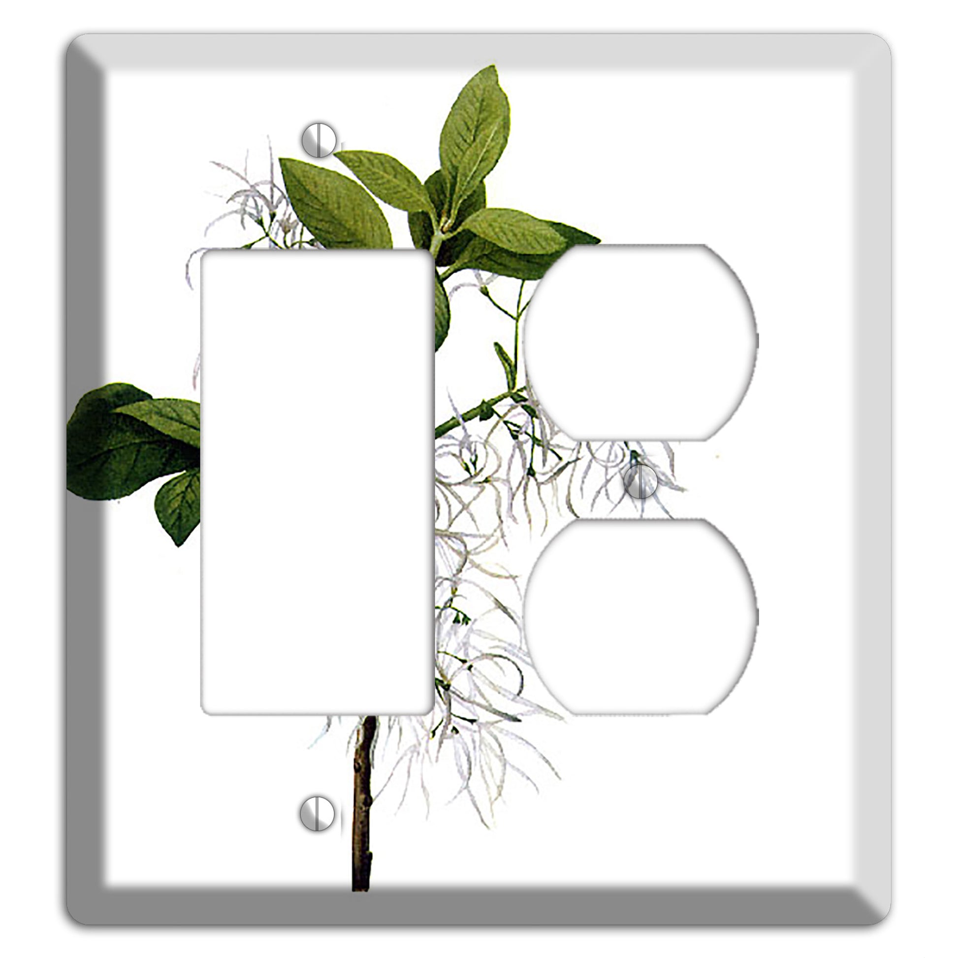 Chionathus Virginiana Rocker / Duplex Wallplate