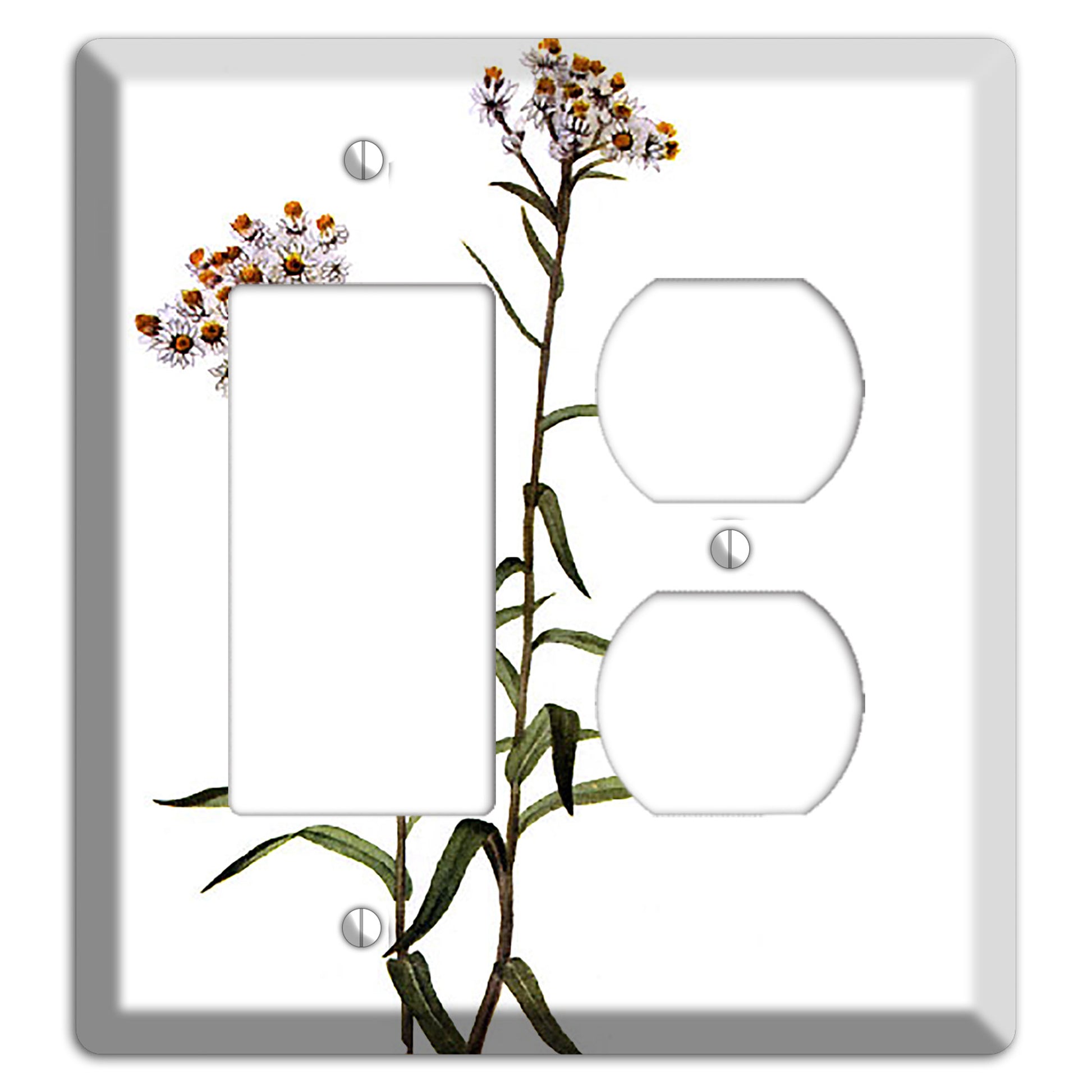 Anaphalis Margoritacea Rocker / Duplex Wallplate