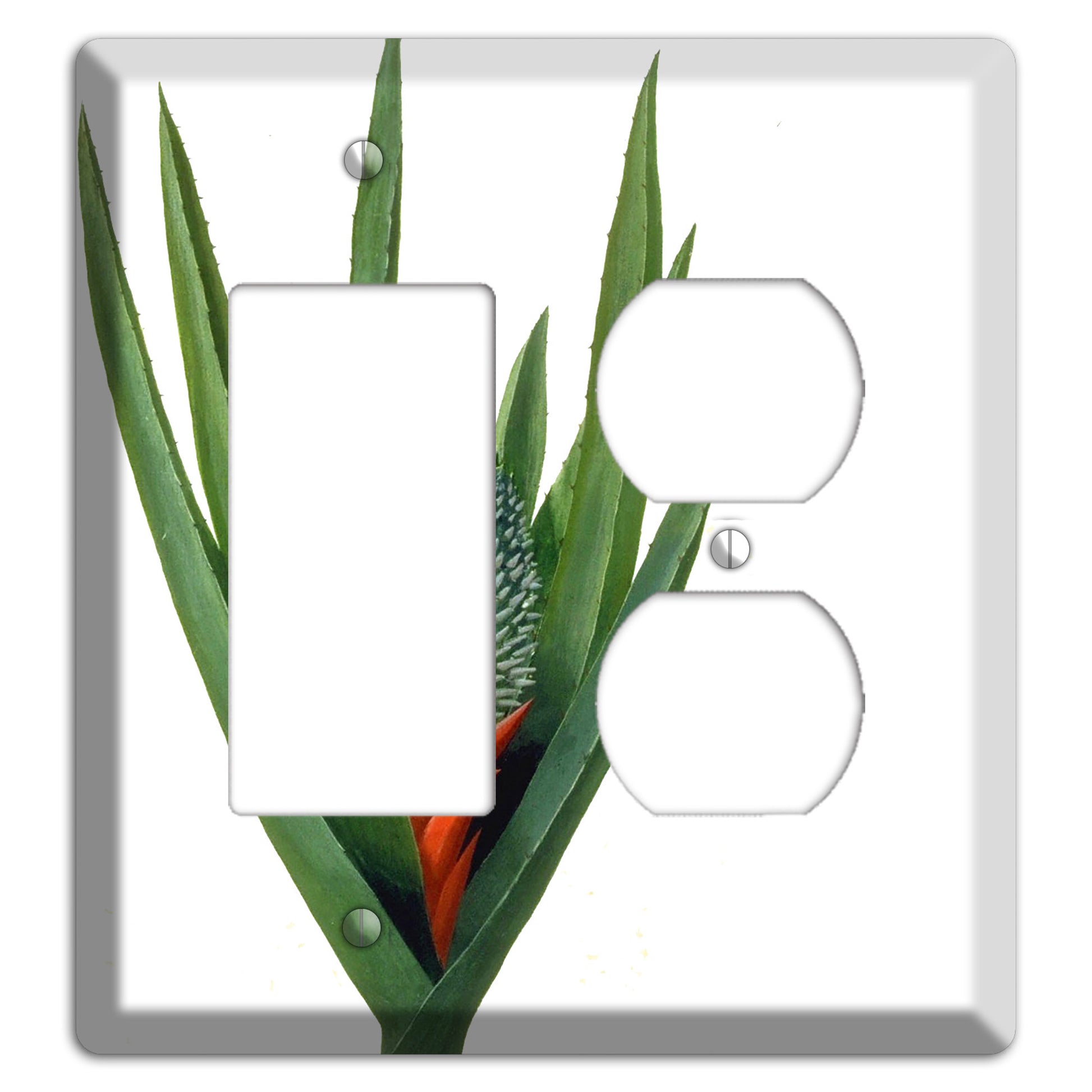 Bromiliad Rocker / Duplex Wallplate