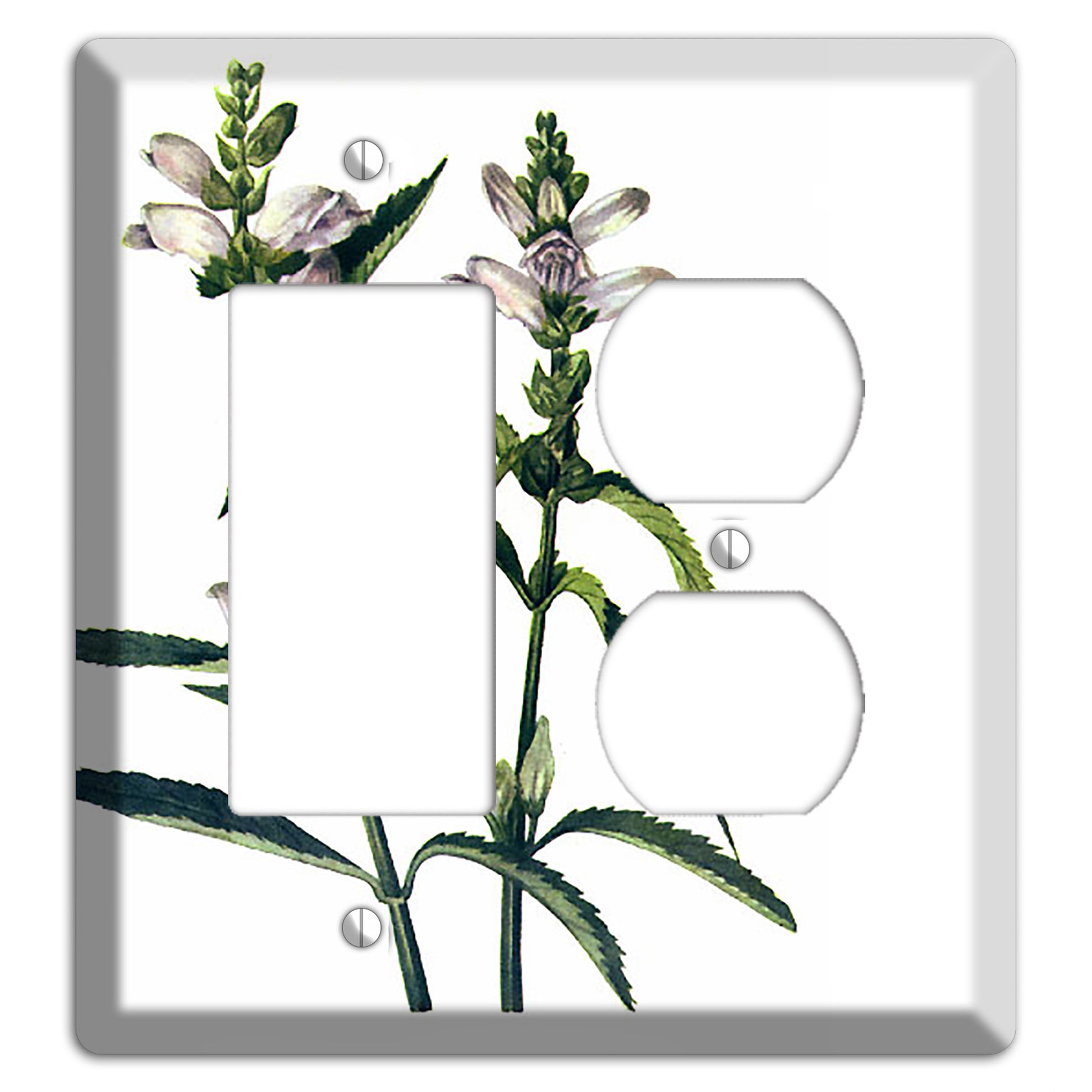 Chelone Glabra Rocker / Duplex Wallplate