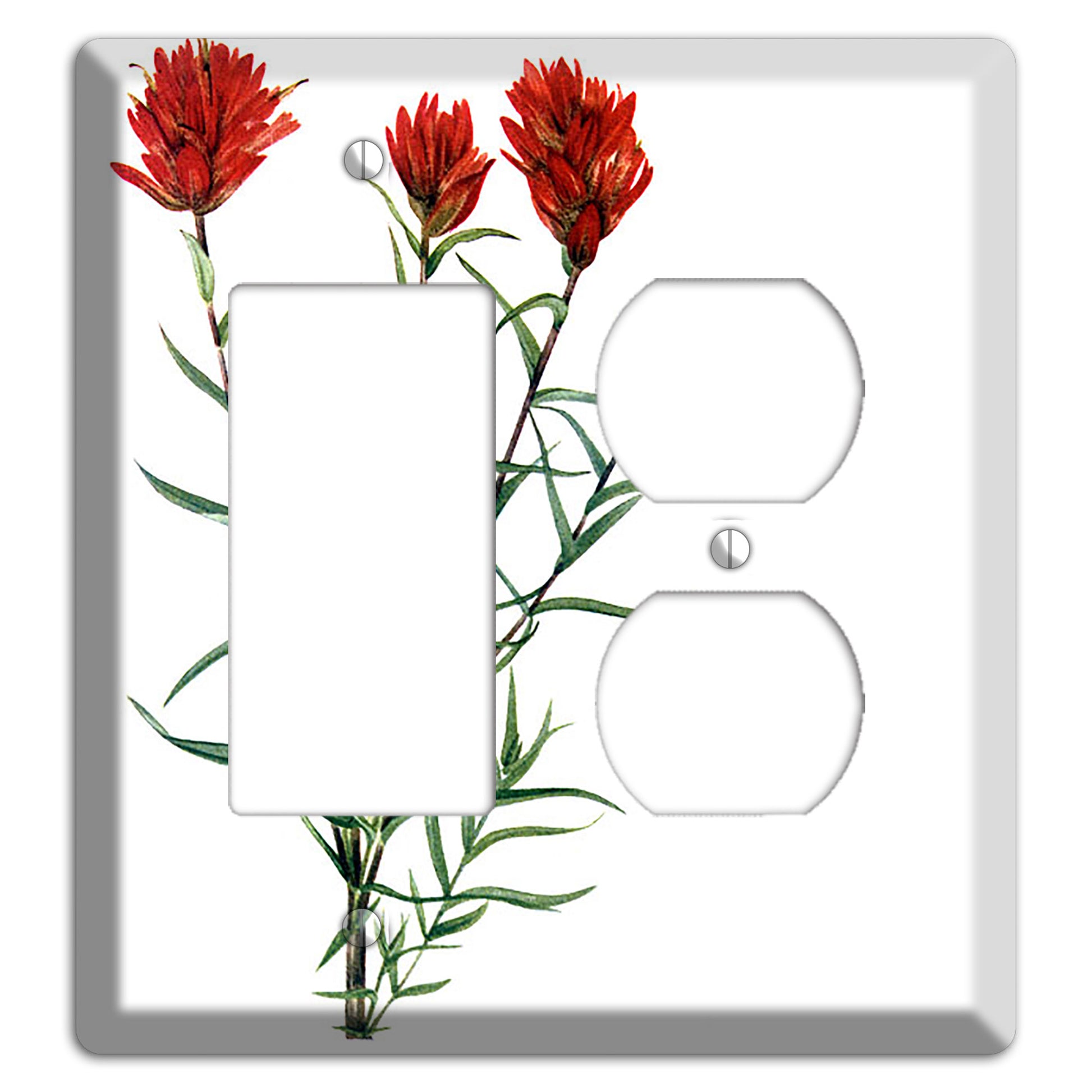 Castilleja Linarifolia Rocker / Duplex Wallplate