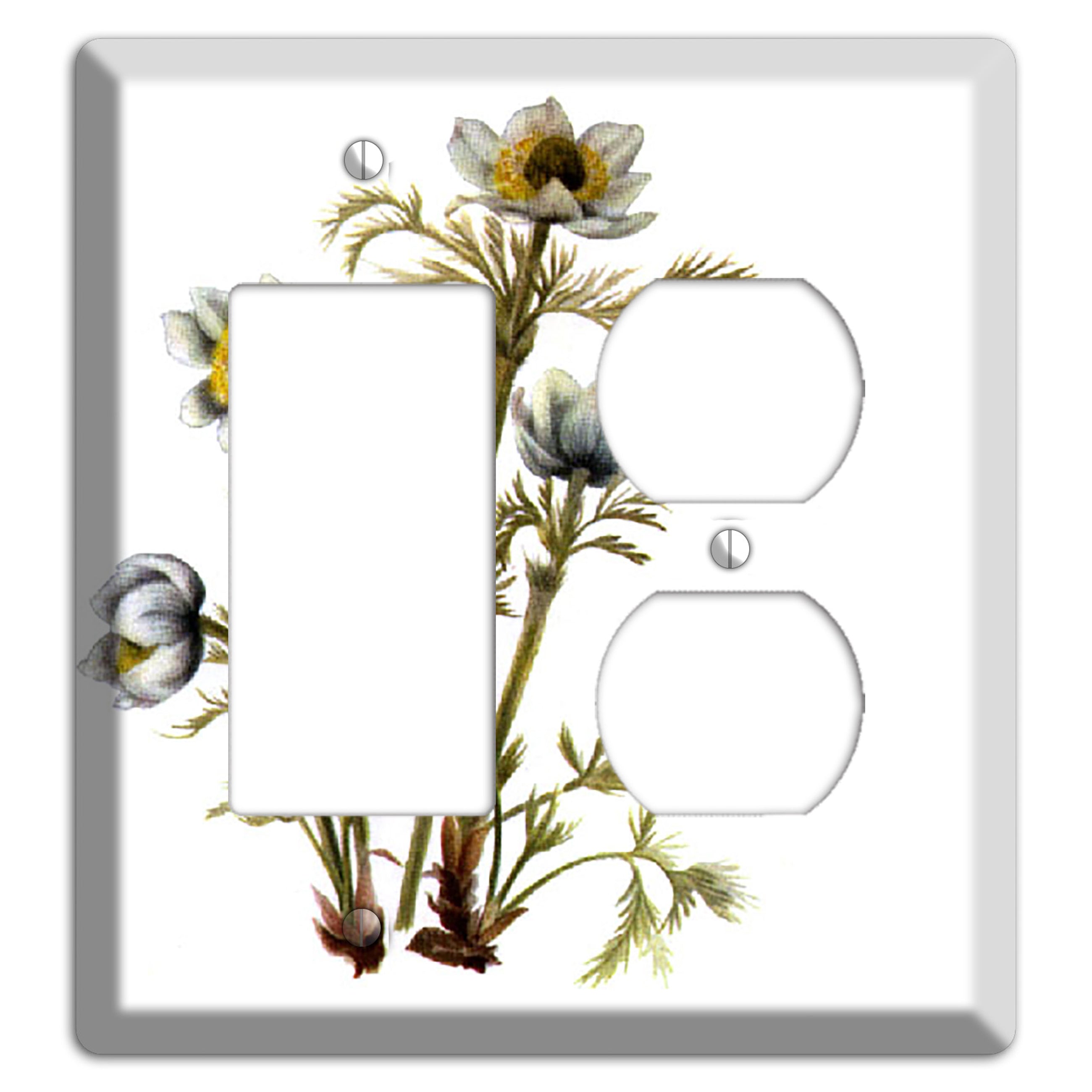 Aenmone Occitentalis Rocker / Duplex Wallplate