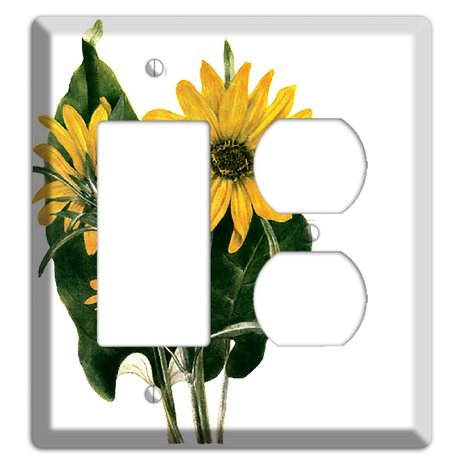 Balsamorhiza Sagittata Rocker / Duplex Wallplate