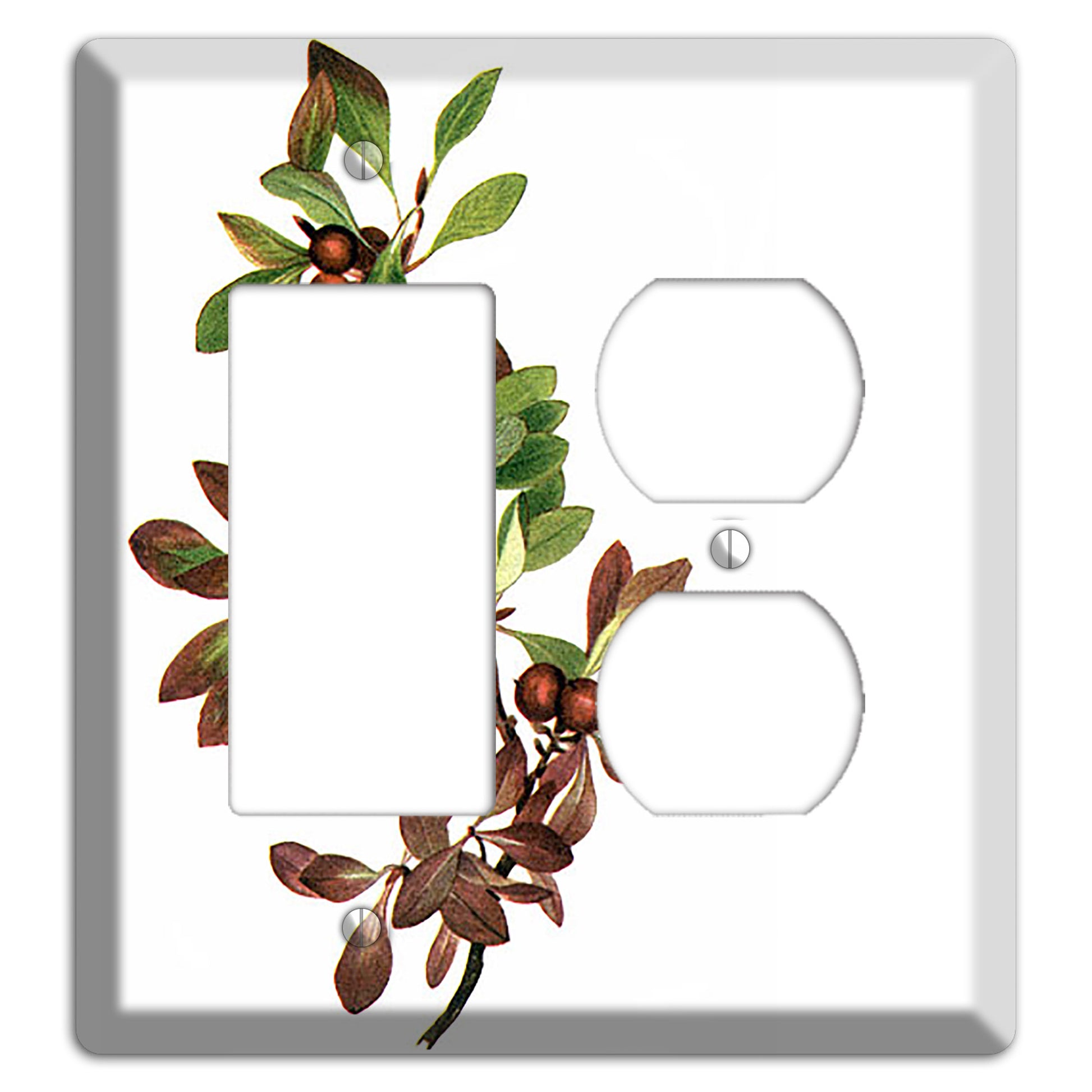 Arietustaphylos Alpha Rocker / Duplex Wallplate