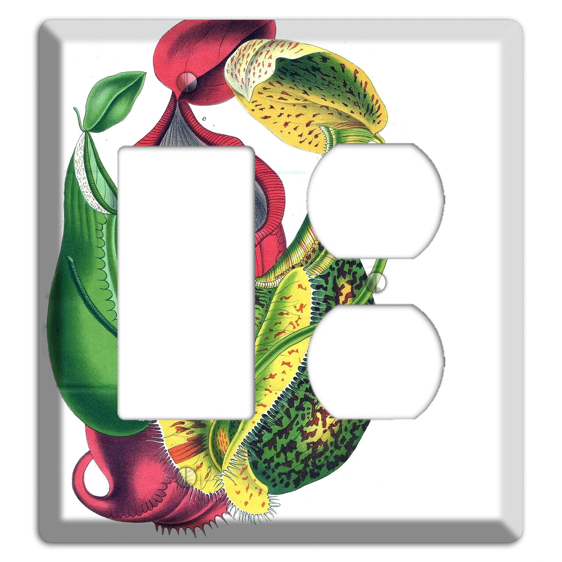 Nepethes Rocker / Duplex Wallplate