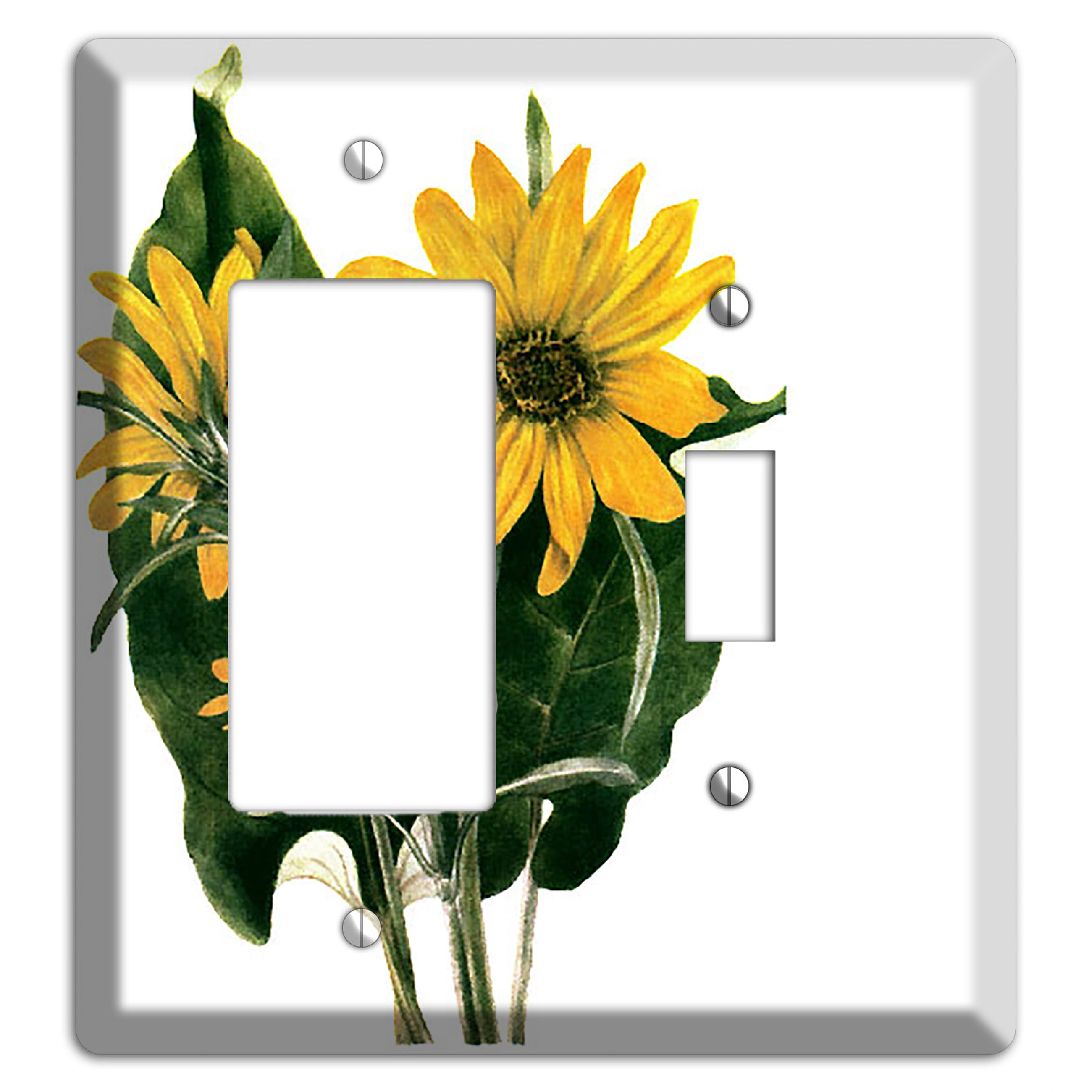 Balsamorhiza Sagittata Rocker / Toggle Wallplate