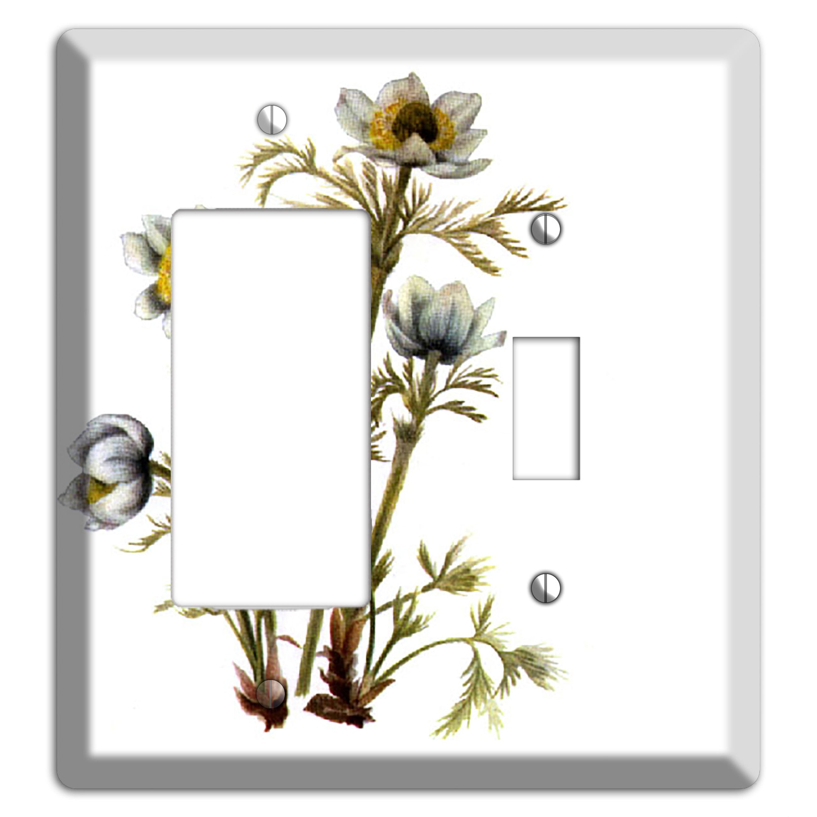 Aenmone Occitentalis Rocker / Toggle Wallplate