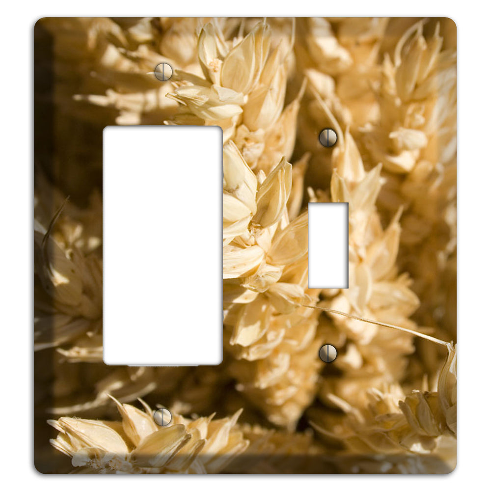 Wheat Rocker / Toggle Wallplate