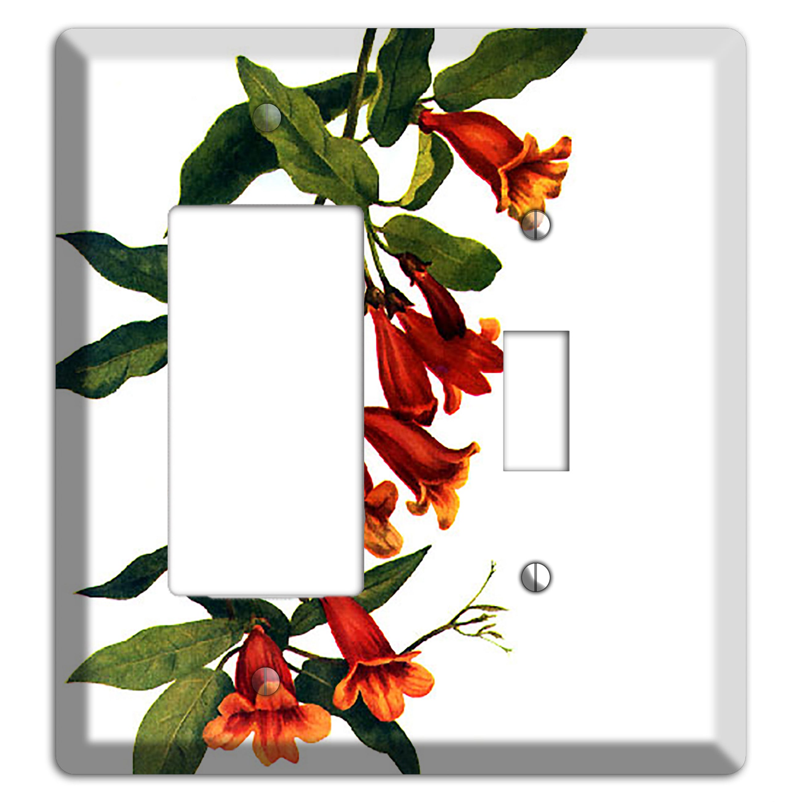 Bigonia Capreolata Rocker / Toggle Wallplate