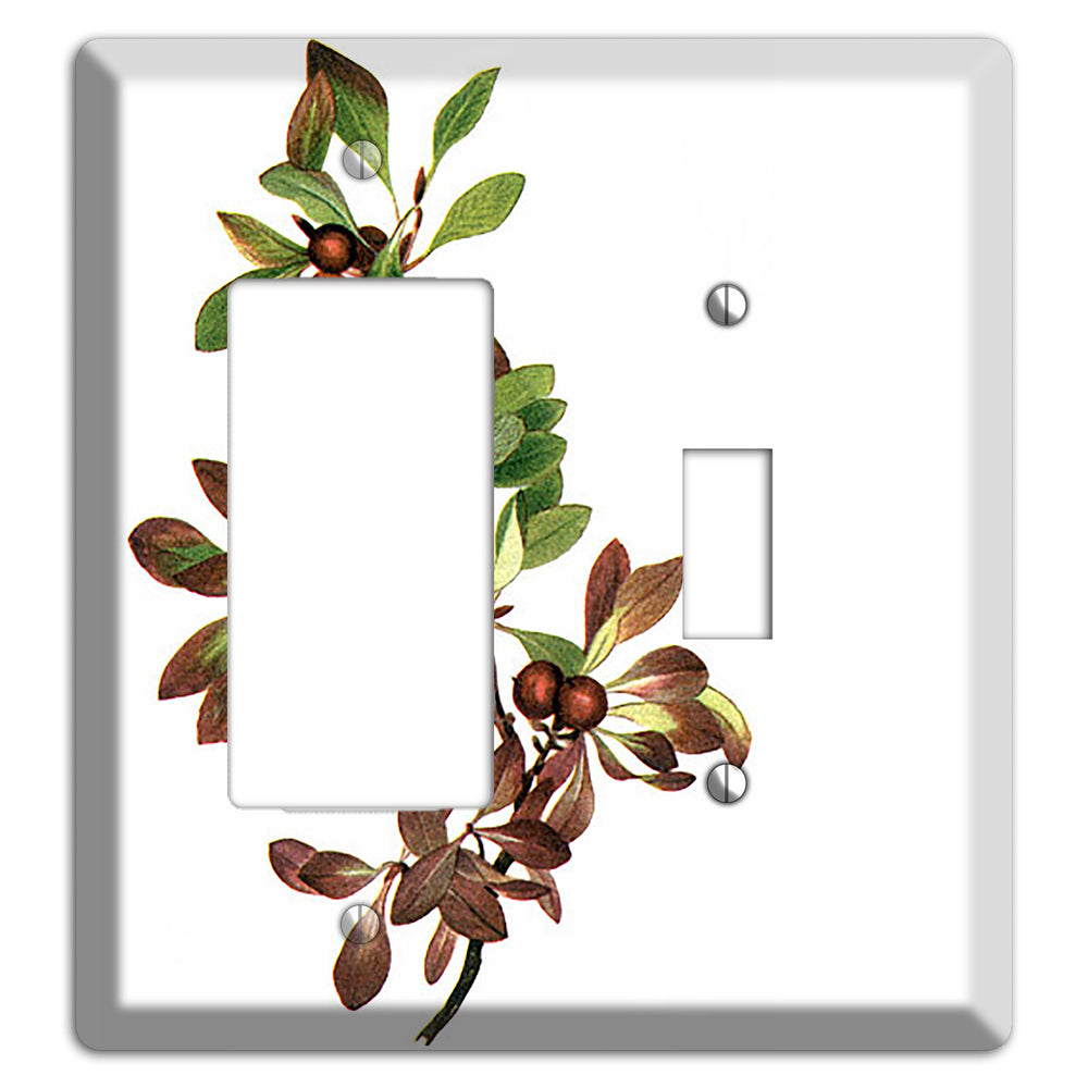 Arietustaphylos Alpha Rocker / Toggle Wallplate