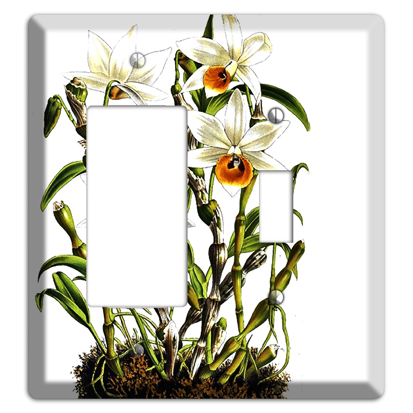Dendrobium Rocker / Toggle Wallplate