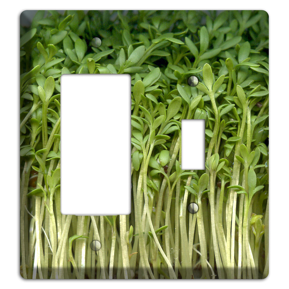 Sprouts Rocker / Toggle Wallplate
