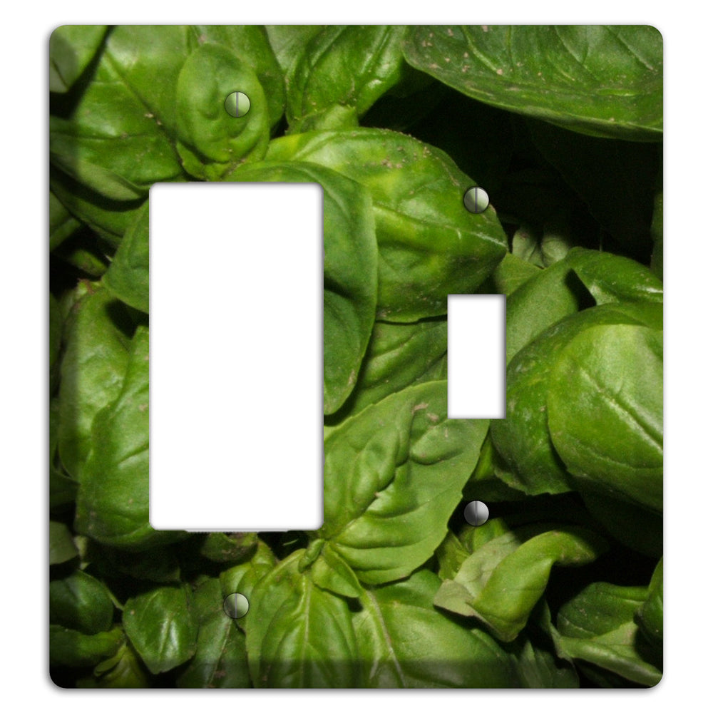 Basil Rocker / Toggle Wallplate