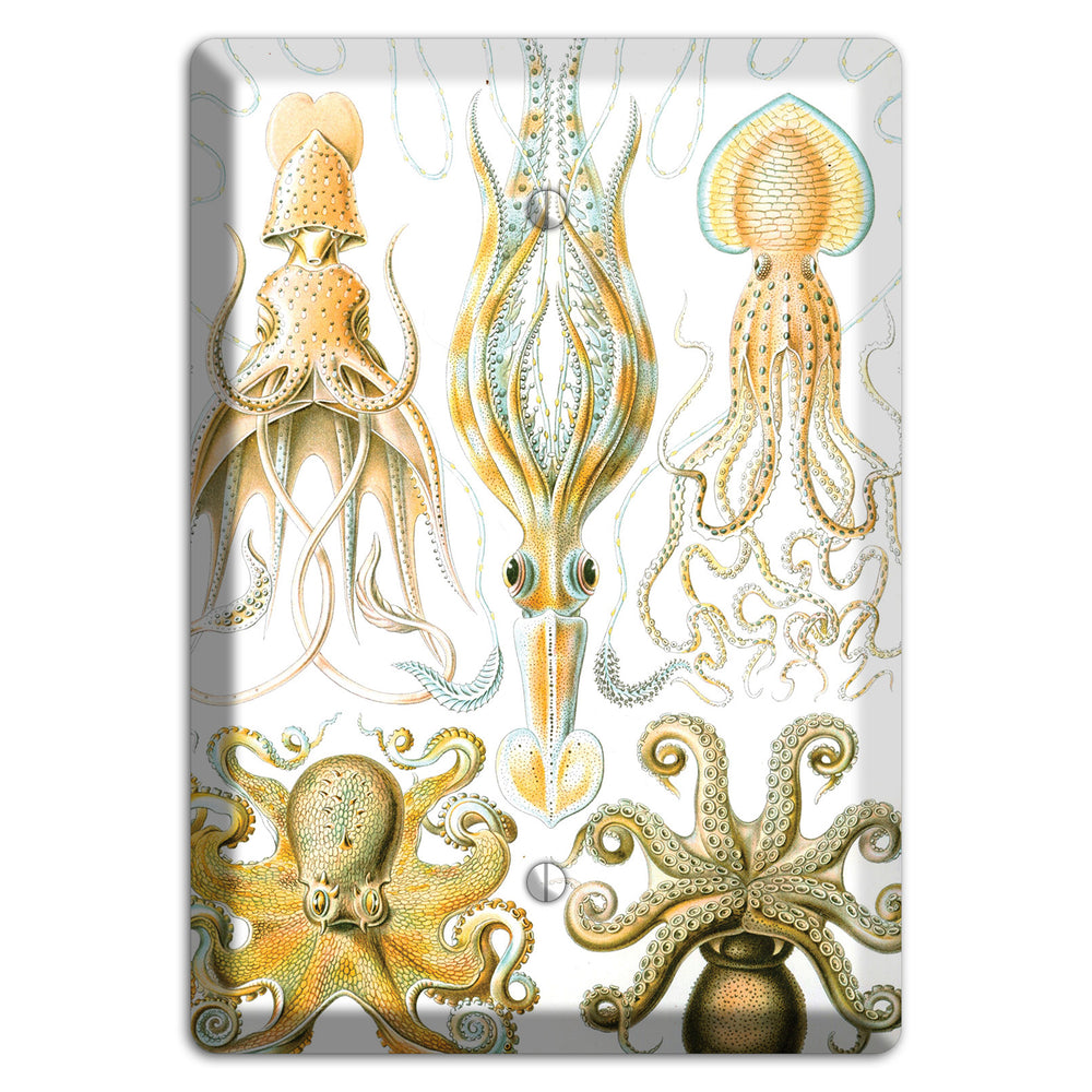 Haeckel - Gamochonia Blank Wallplate