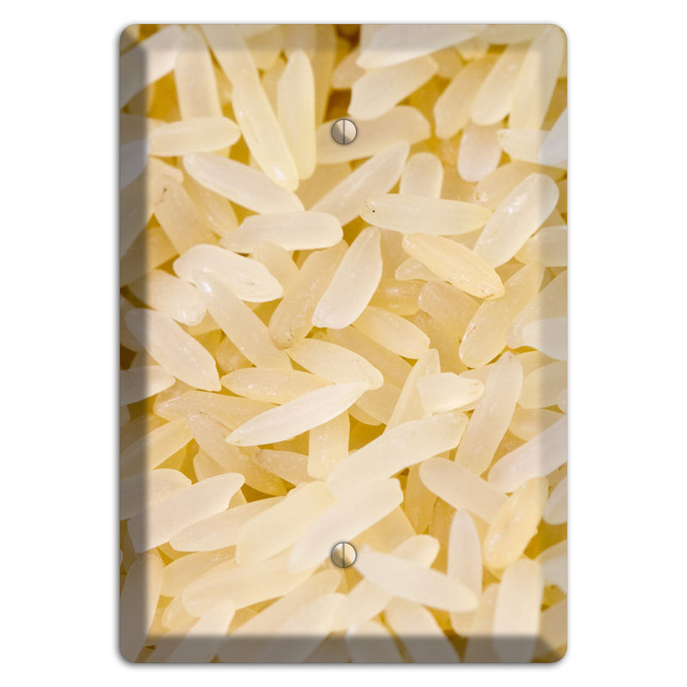 Rice Blank Wallplate