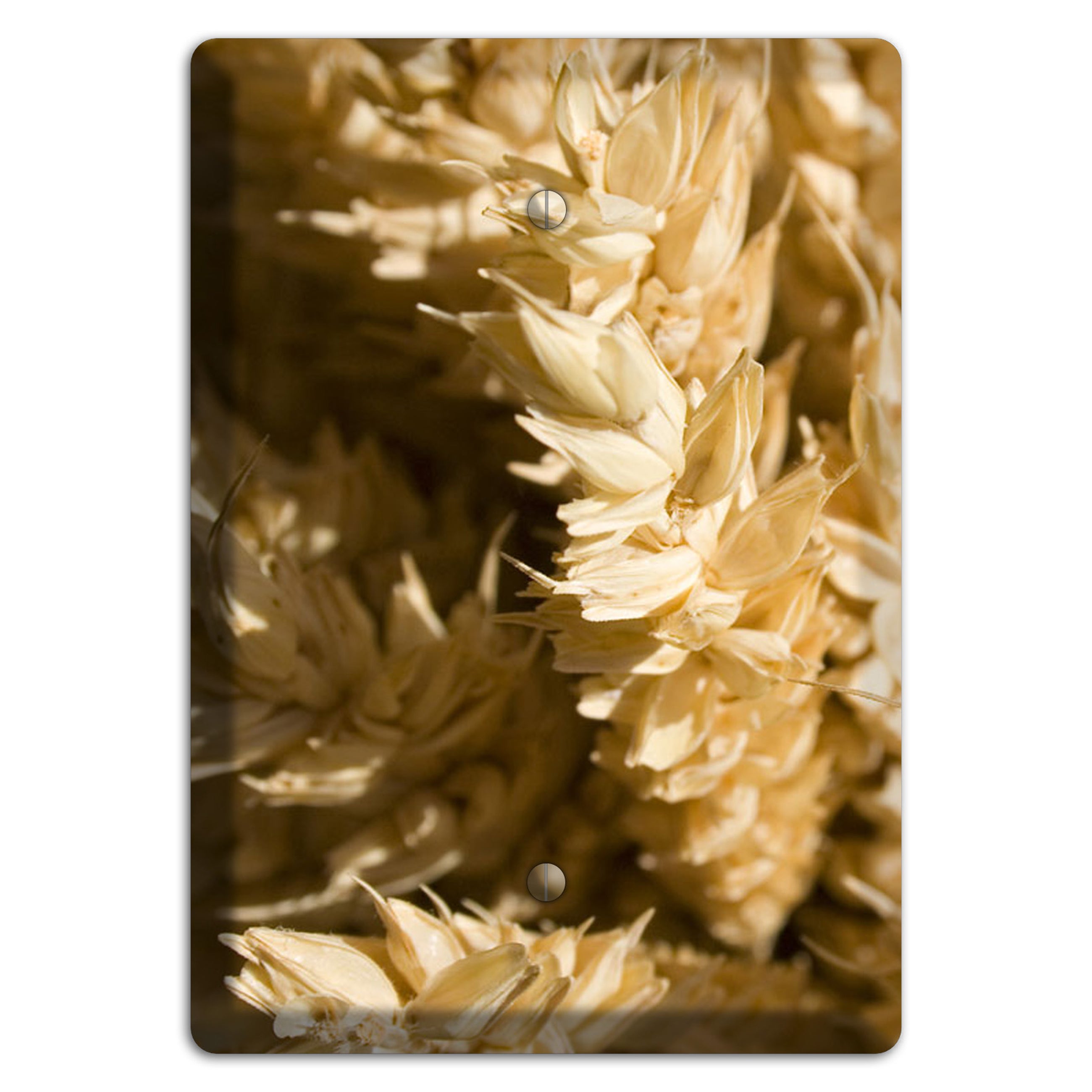 Wheat Blank Wallplate