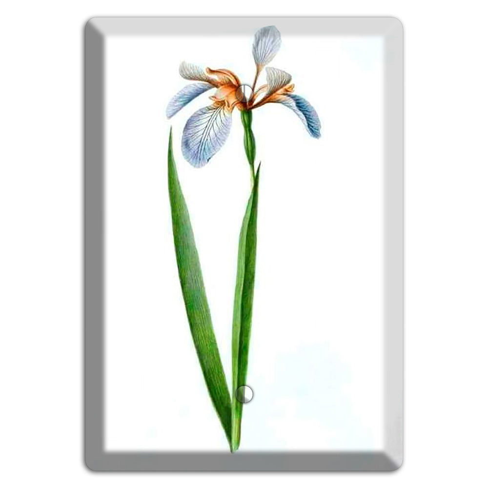 White Iris 2 Blank Wallplate