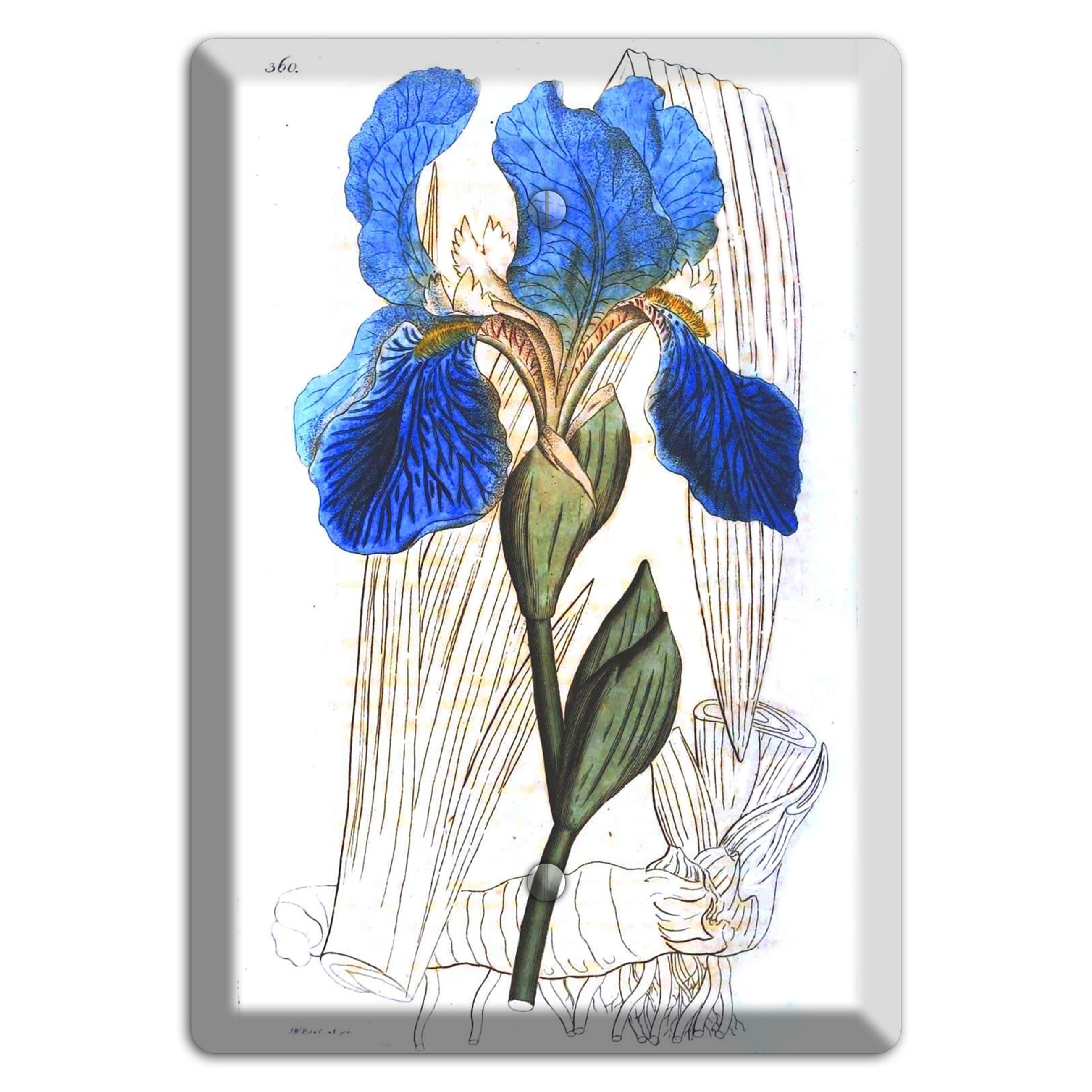 Blue Iris Blank Wallplate