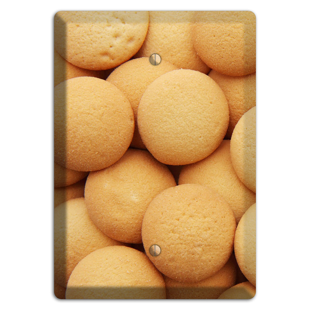 Wafers Blank Wallplate