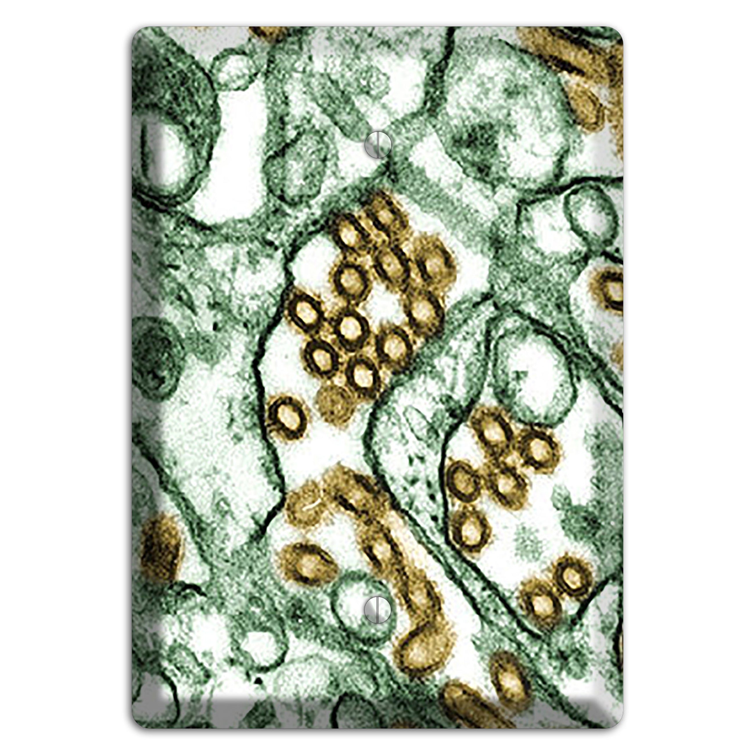 influenza A H5N1 Blank Wallplate
