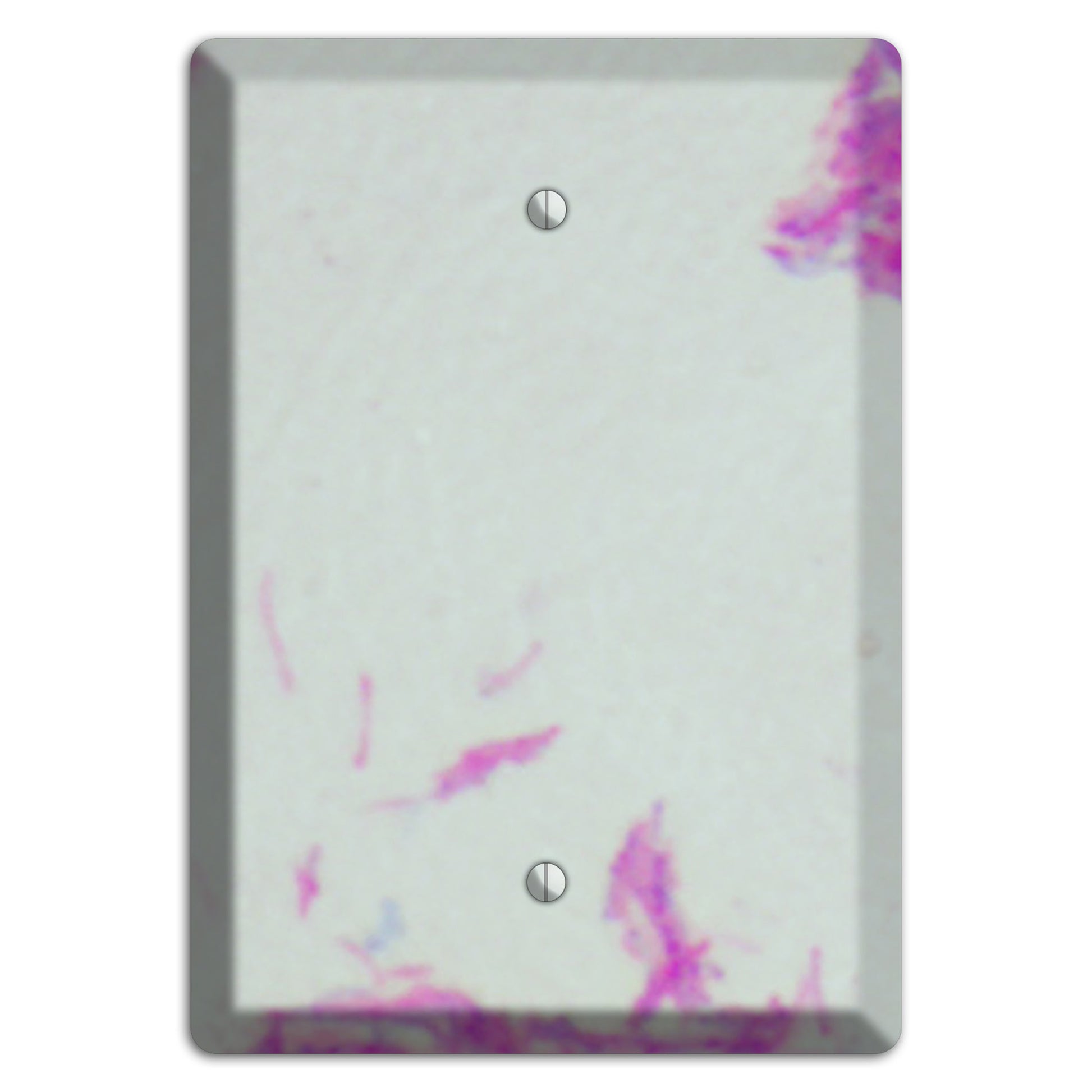 Mycobacterium Bovis Blank Wallplate