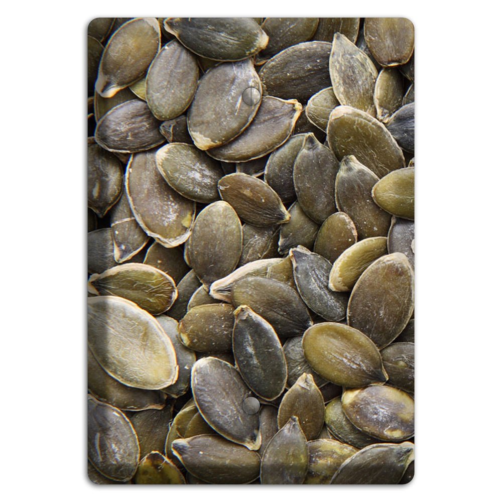 Sunflowers Seeds Blank Wallplate