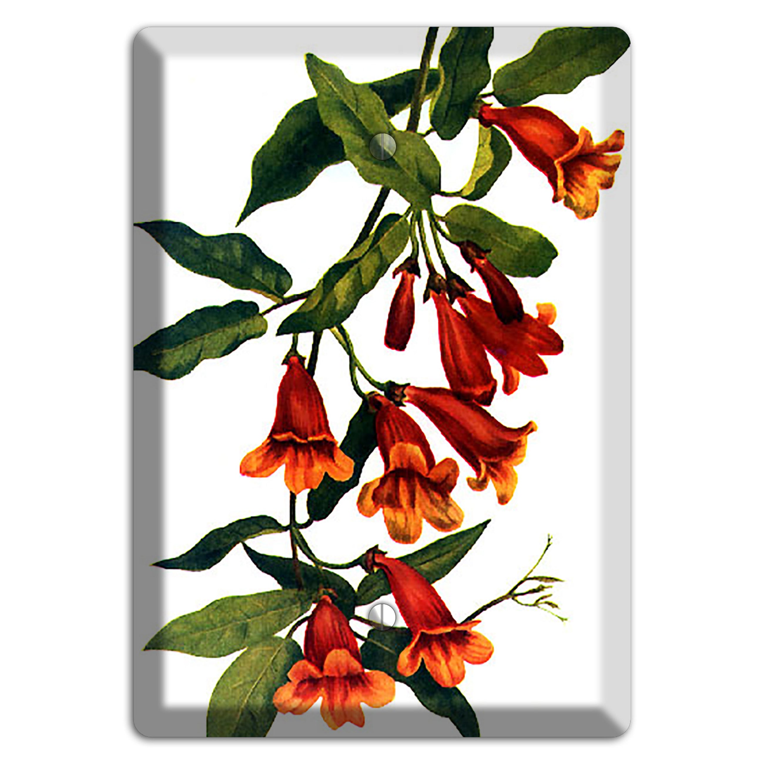 Bigonia Capreolata Blank Wallplate