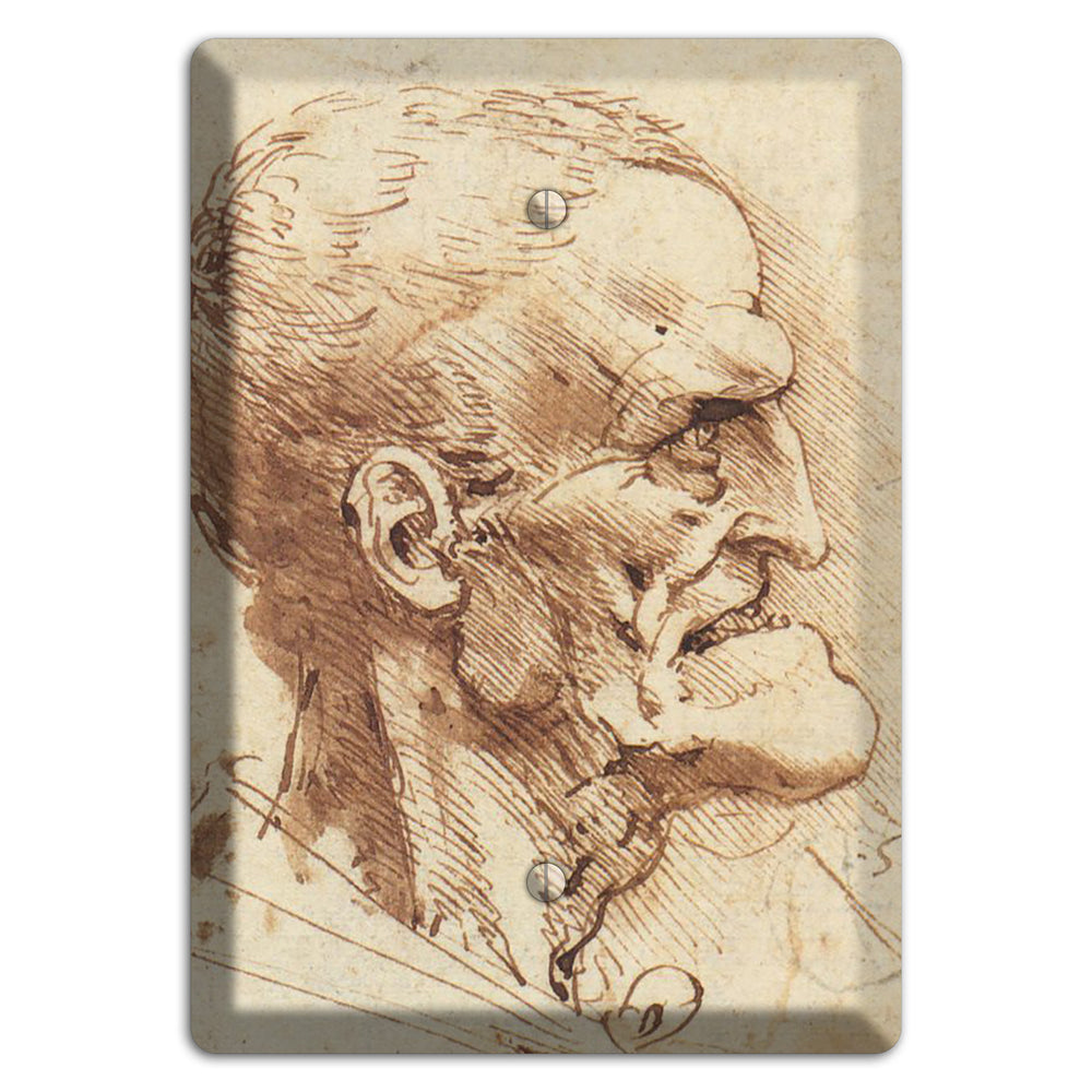 Da Vinci - Grotesque Profile Blank Wallplate