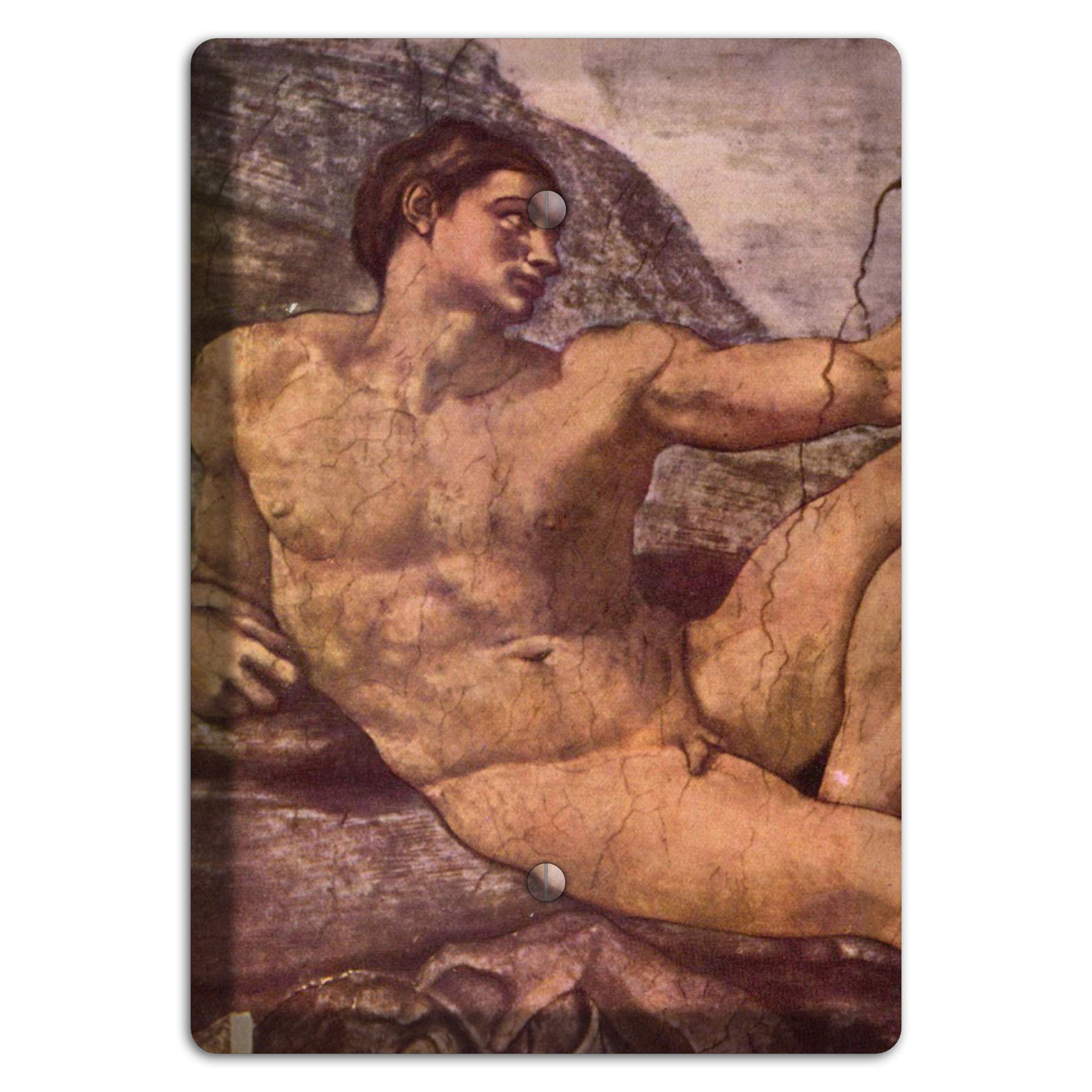Michelangelo 2 Blank Wallplate