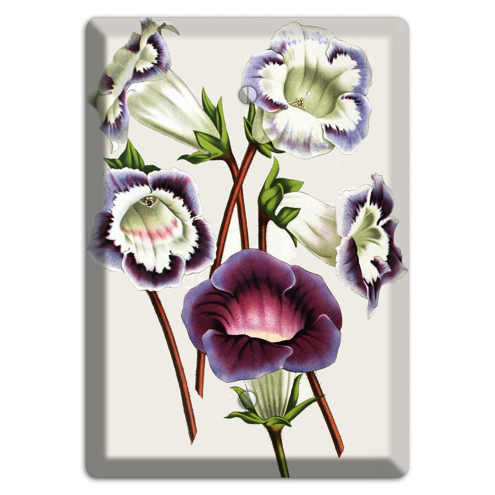 Gloxinas Blank Wallplate