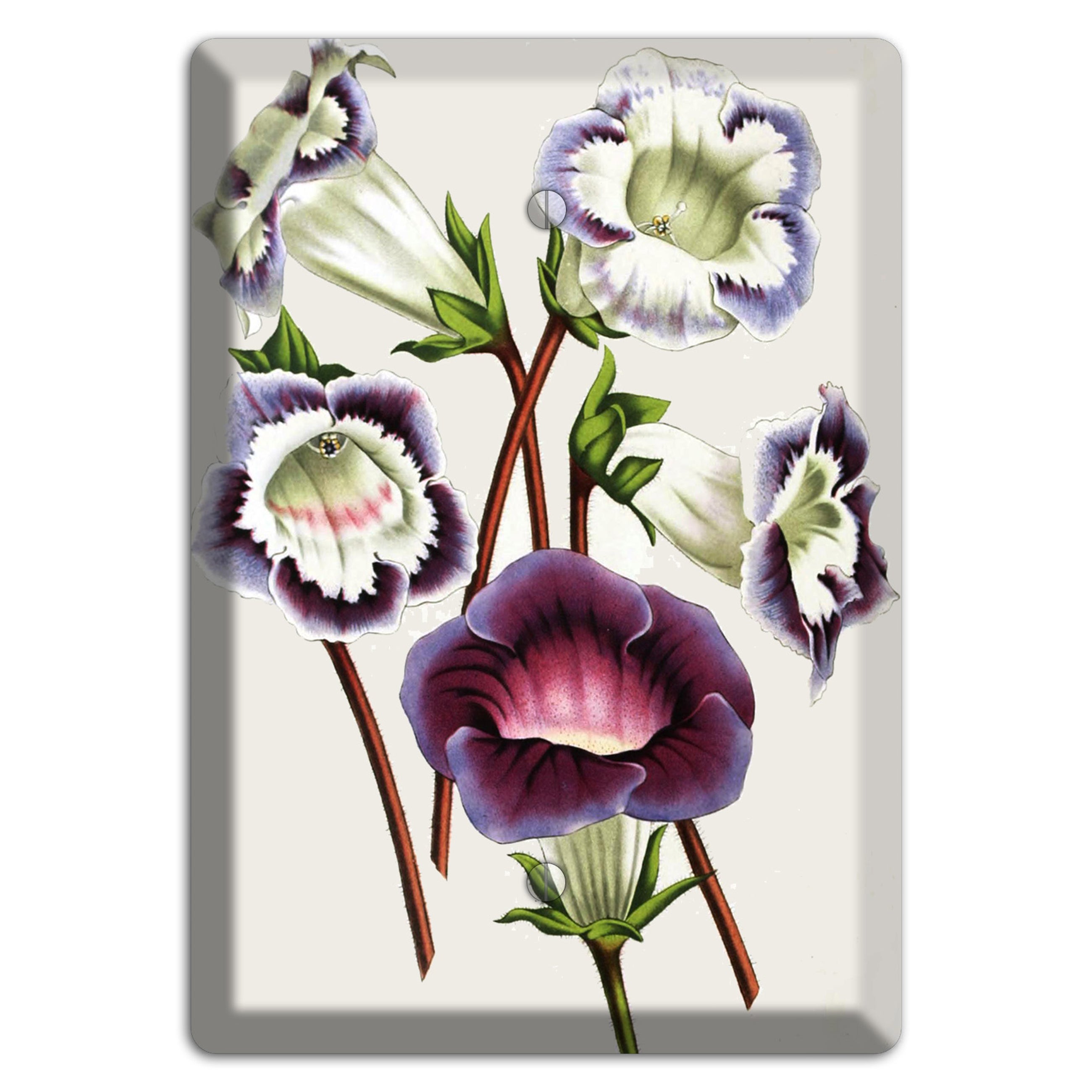 Gloxinas Blank Wallplate