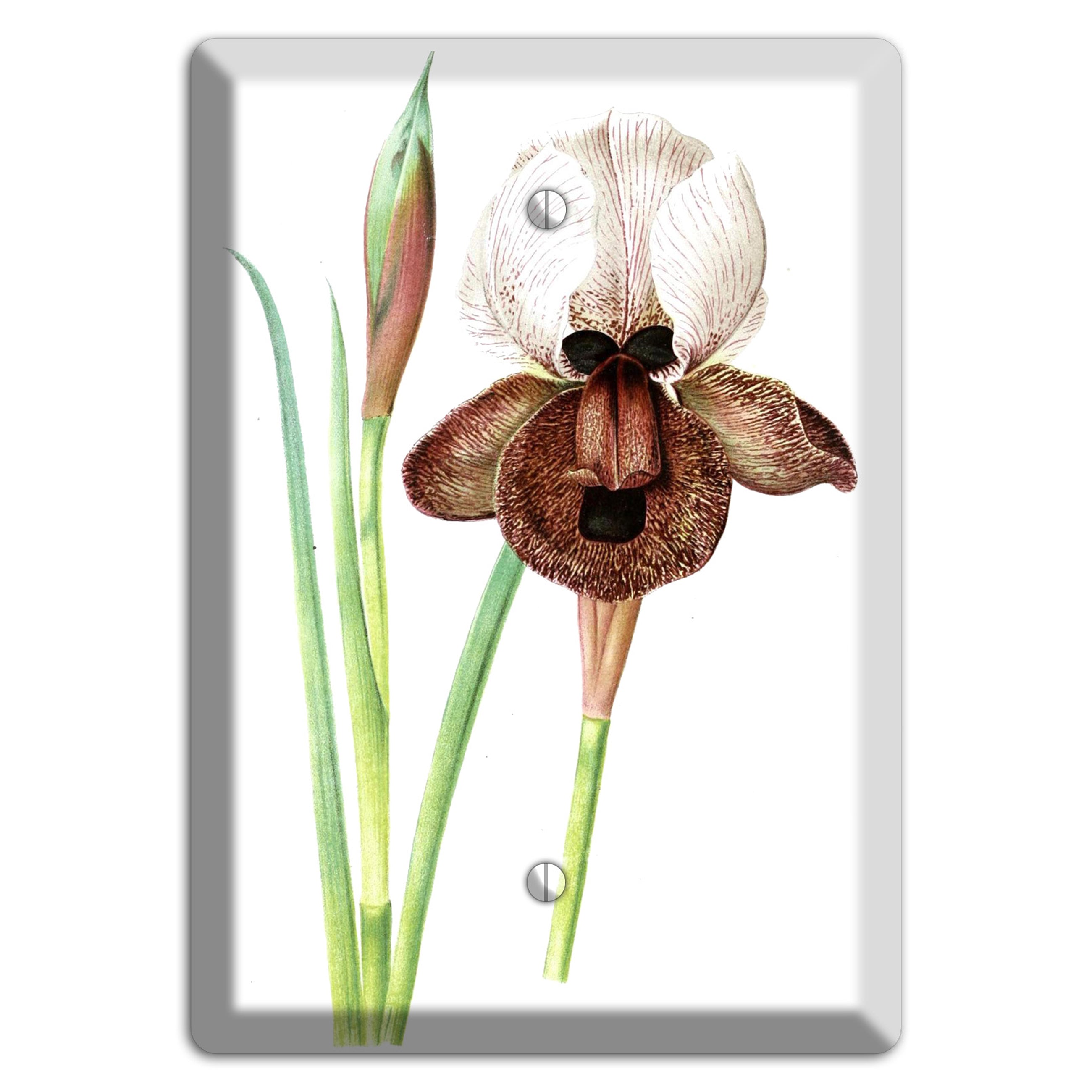 White iris Blank Wallplate