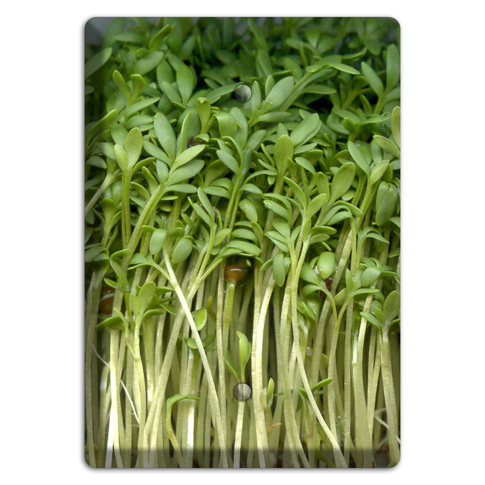 Sprouts Blank Wallplate
