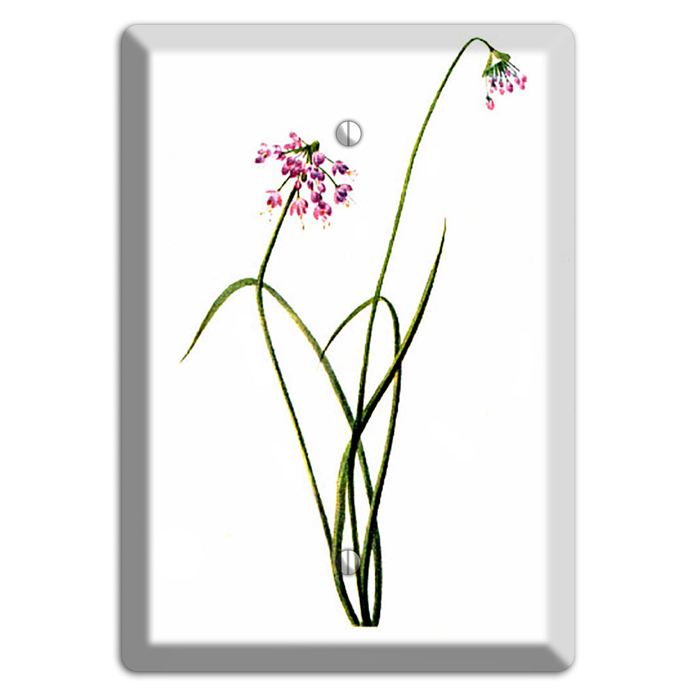 Allium Cernum Blank Wallplate