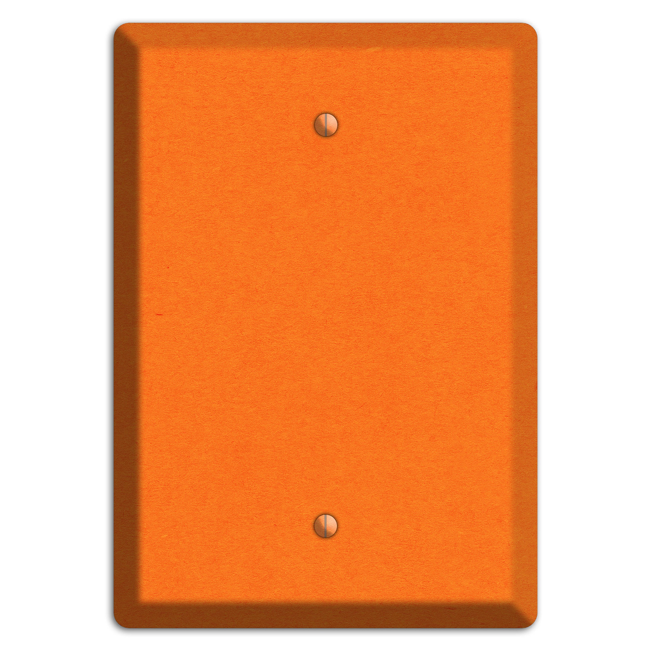 Pumpkin Kraft Blank Wallplate