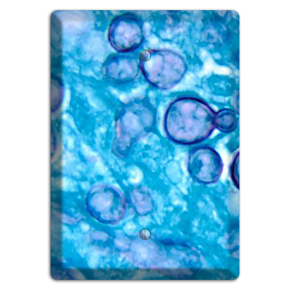 Histoplasma Capsulatum Duboisii Blank Wallplate